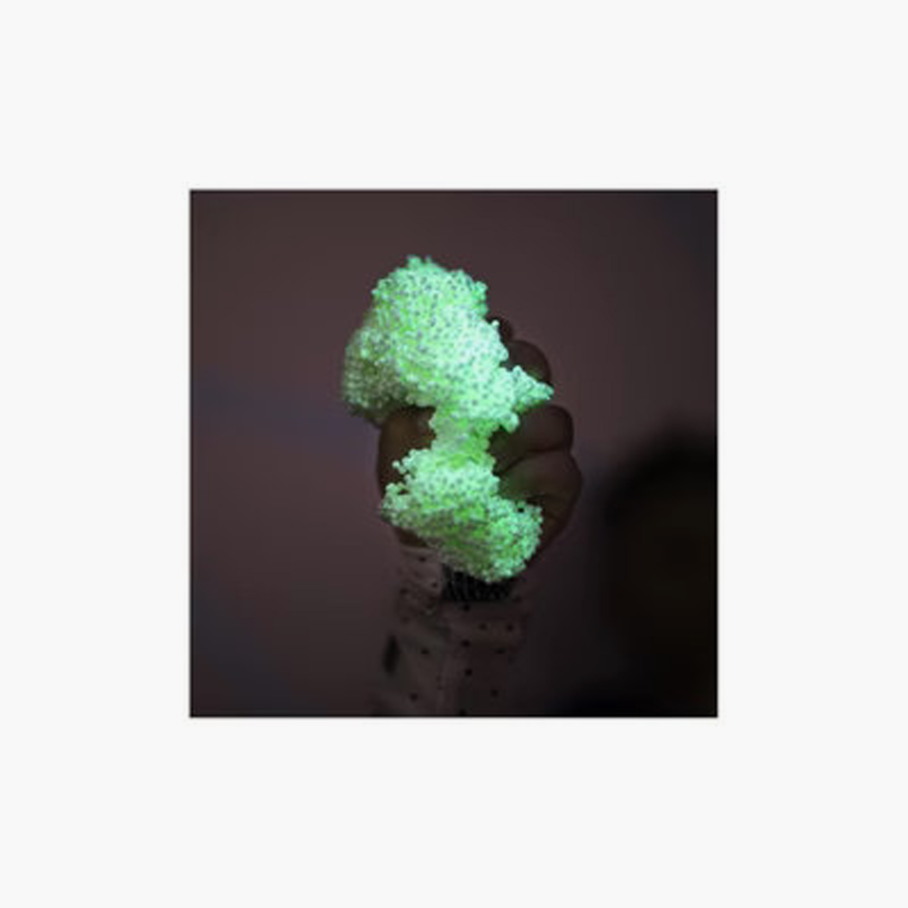 Gloo 4-Piece Learning Resources Playfoam Glow In The Dark-toys-babyandtoddlertoys-learningtoys-image-5