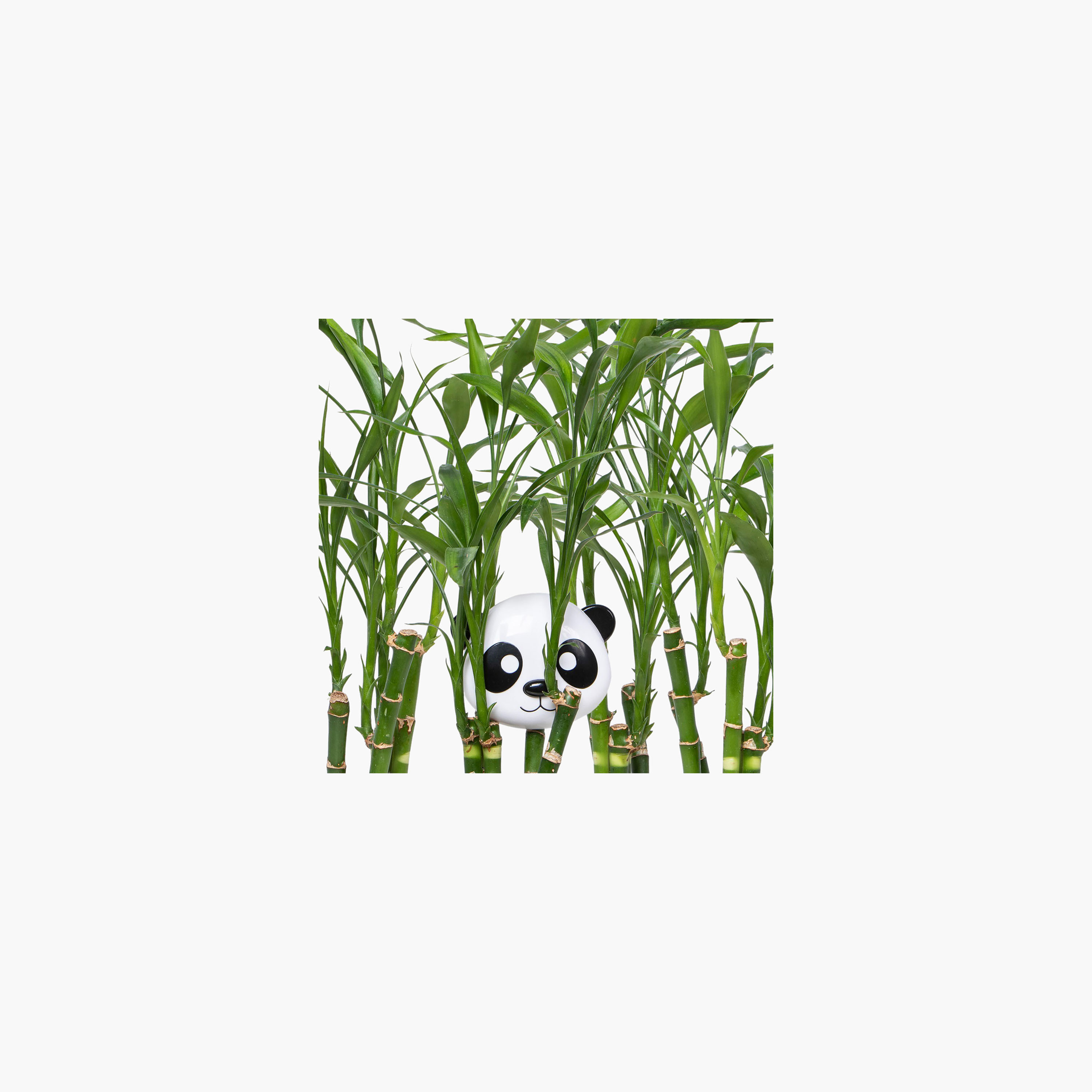 Melii Panda Snack Container-baby-feeding-mealtimeessentials-image-4