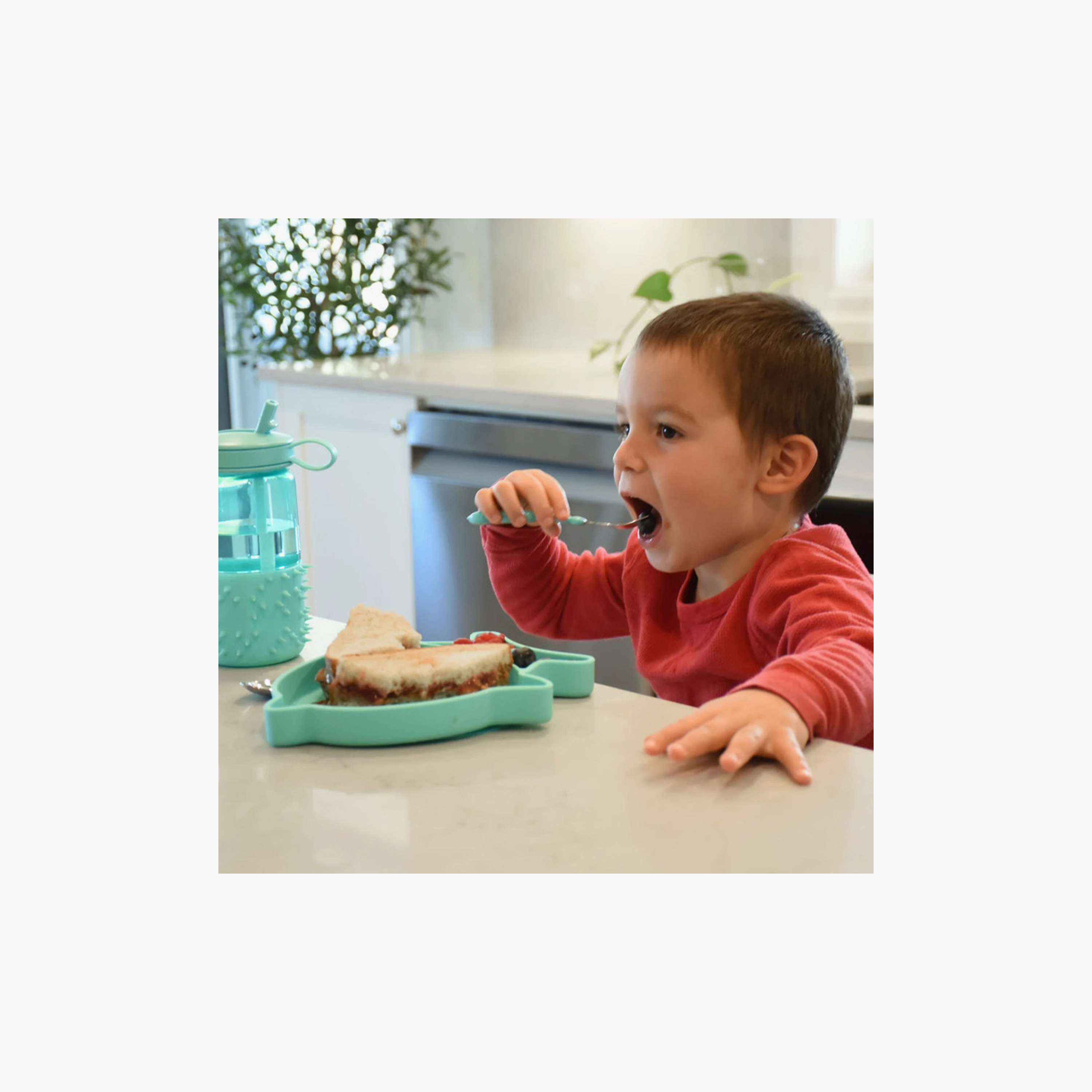 Melii Divided Silicone Suction Plate - Shark - Turquoise-baby-feeding-mealtimeessentials-image-4