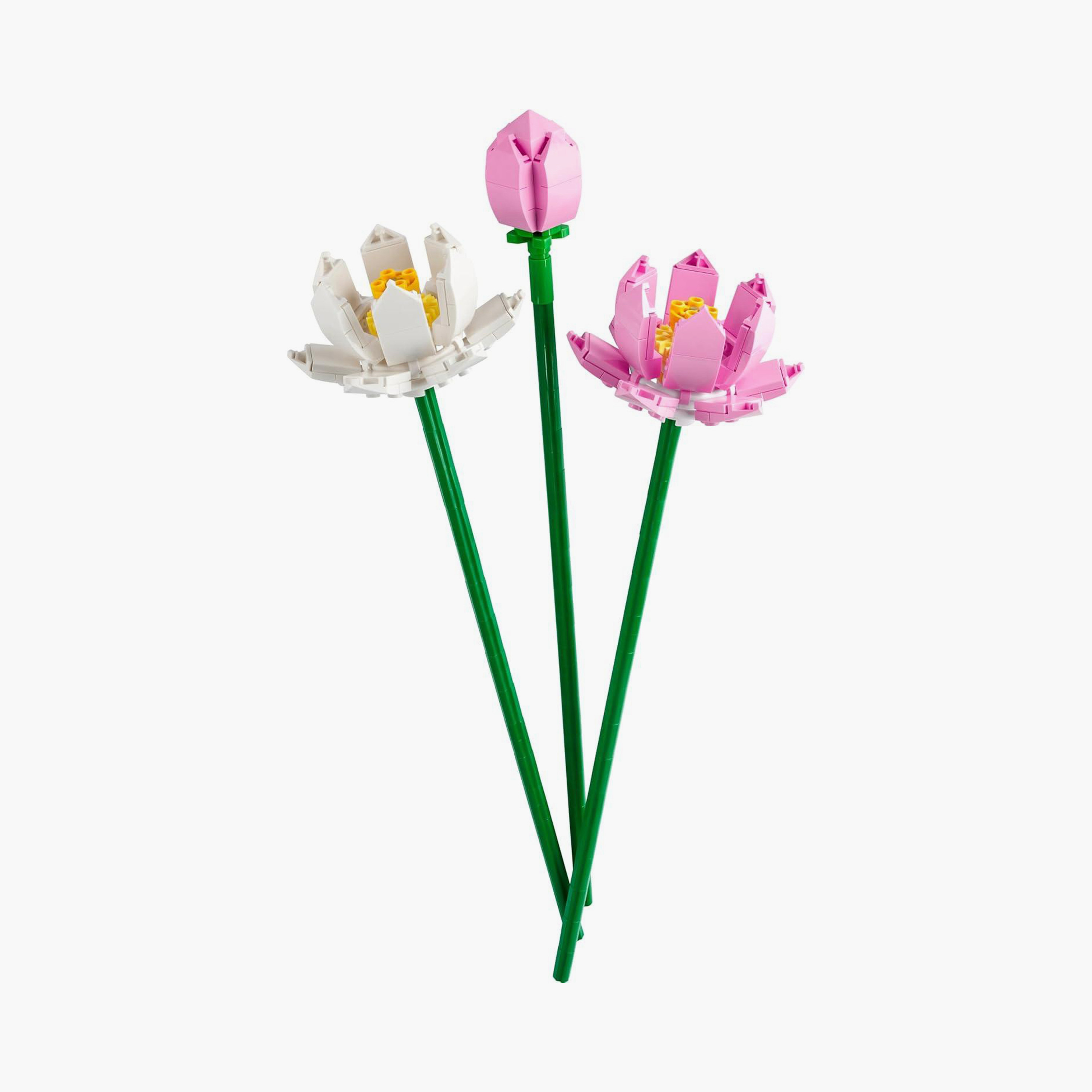 Lego Lotus Building Set-toys-buildingblocks-blocks-image-9