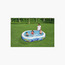 Bestway Fish n Friends Inflatable Family Pool - 262x157x46 cm-toys-outdoor-poolandbeach-pools-image-5