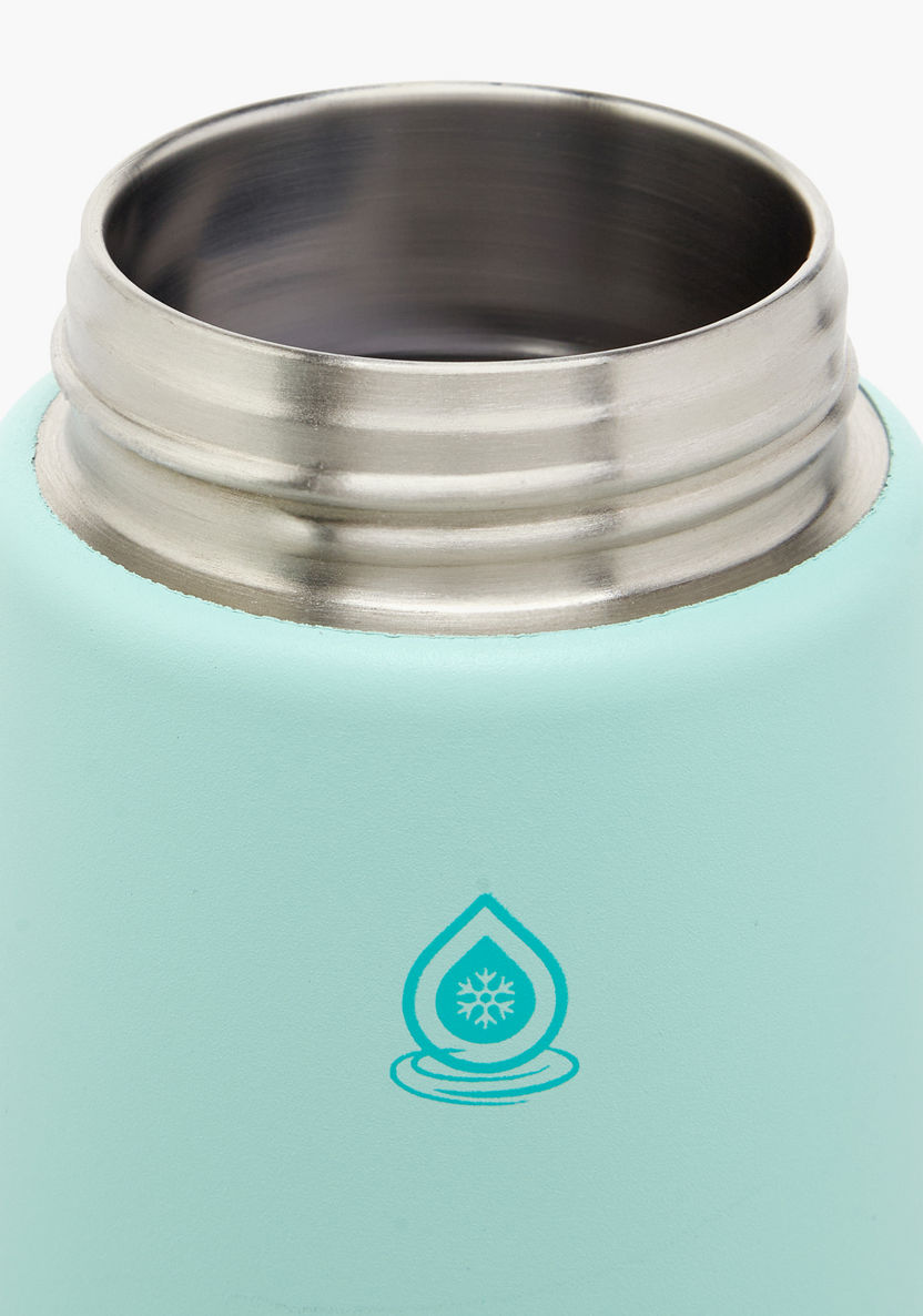 Springfield Mint Flask Shop AquaFlask Mallows Mint Chip Stainless Steel Vaccum Flask - 354 ml ...