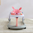 Little Bloomers Andy Rabbit Printed 4-in-1 Baby Walker with Lights & Music-baby-infantactivity-walkers-image-2