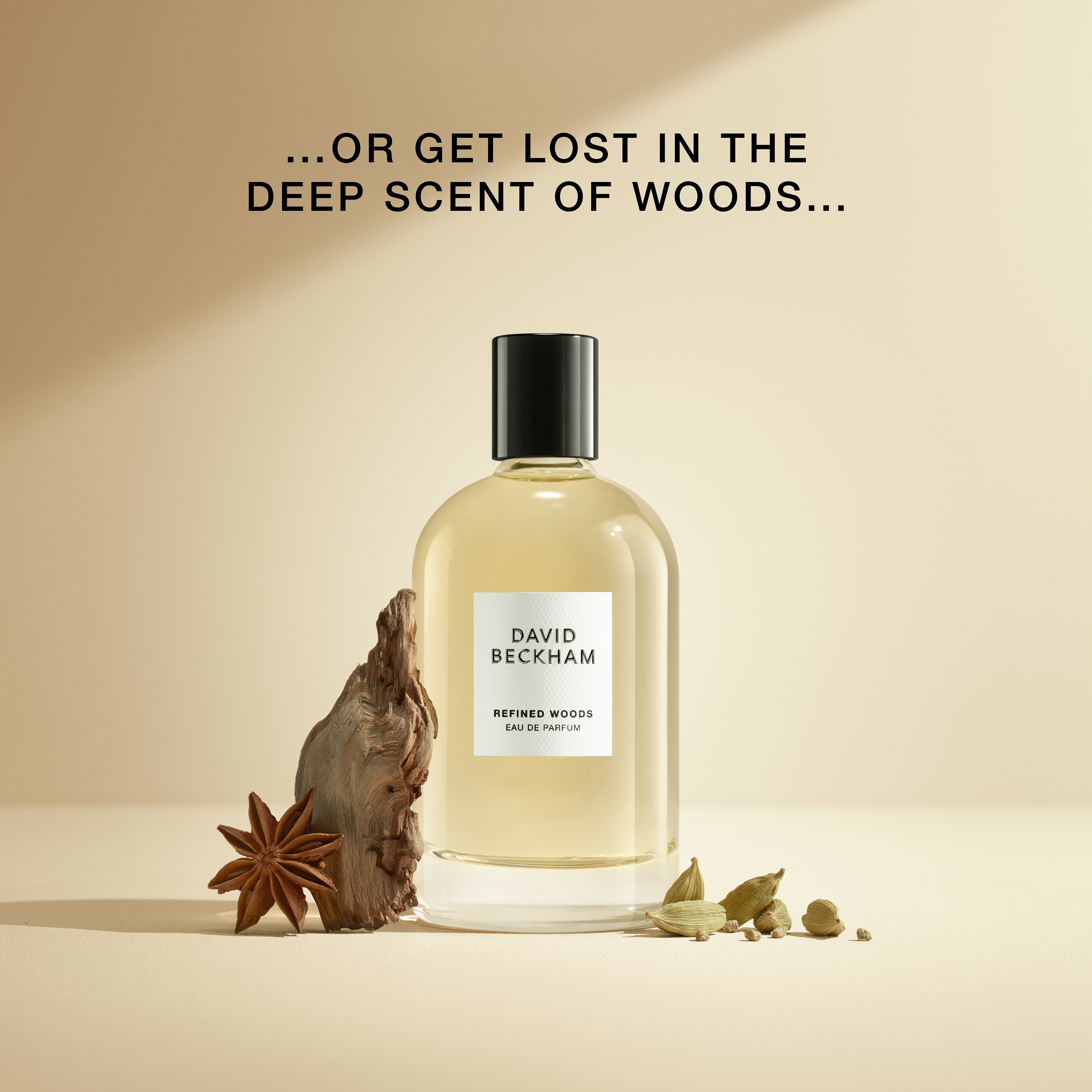 David Beckham Refined Woods Eau de Parfum for Men - 100 ml-beautyandpersonalcare-fragrance-men-image-5