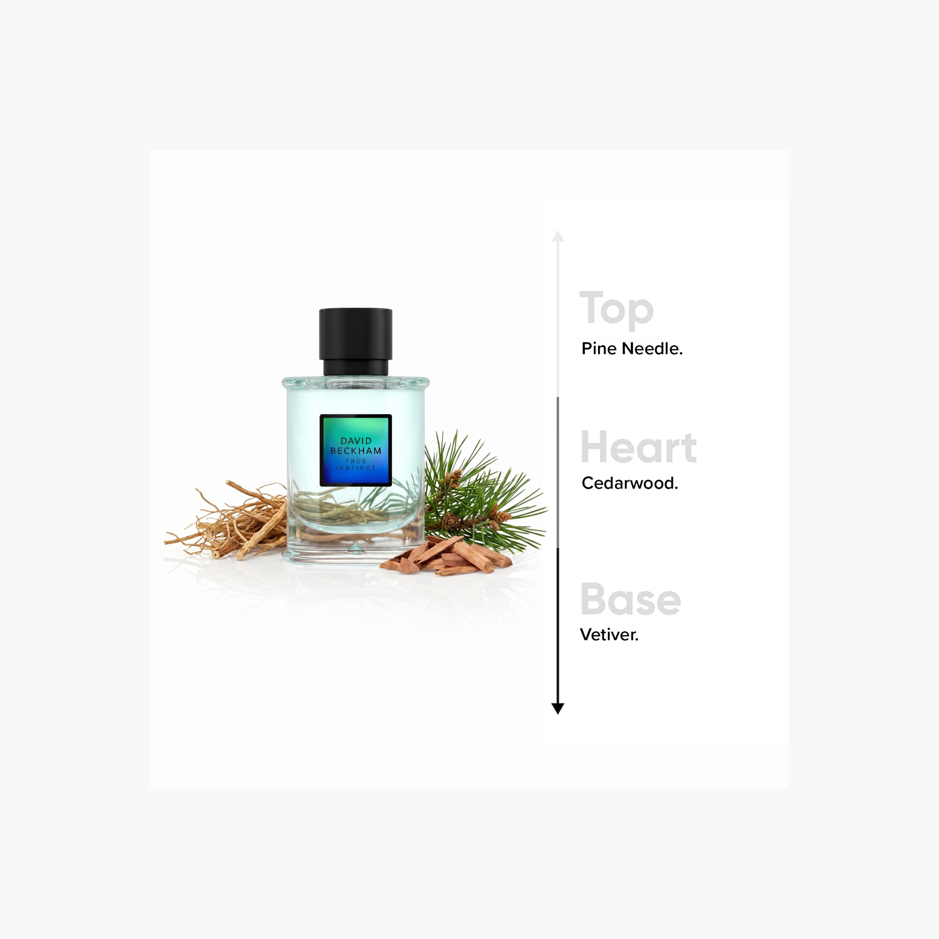 David Beckham True Instinct Eau de Parfum for Men - 75 ml-beautyandpersonalcare-fragrance-men-image-5