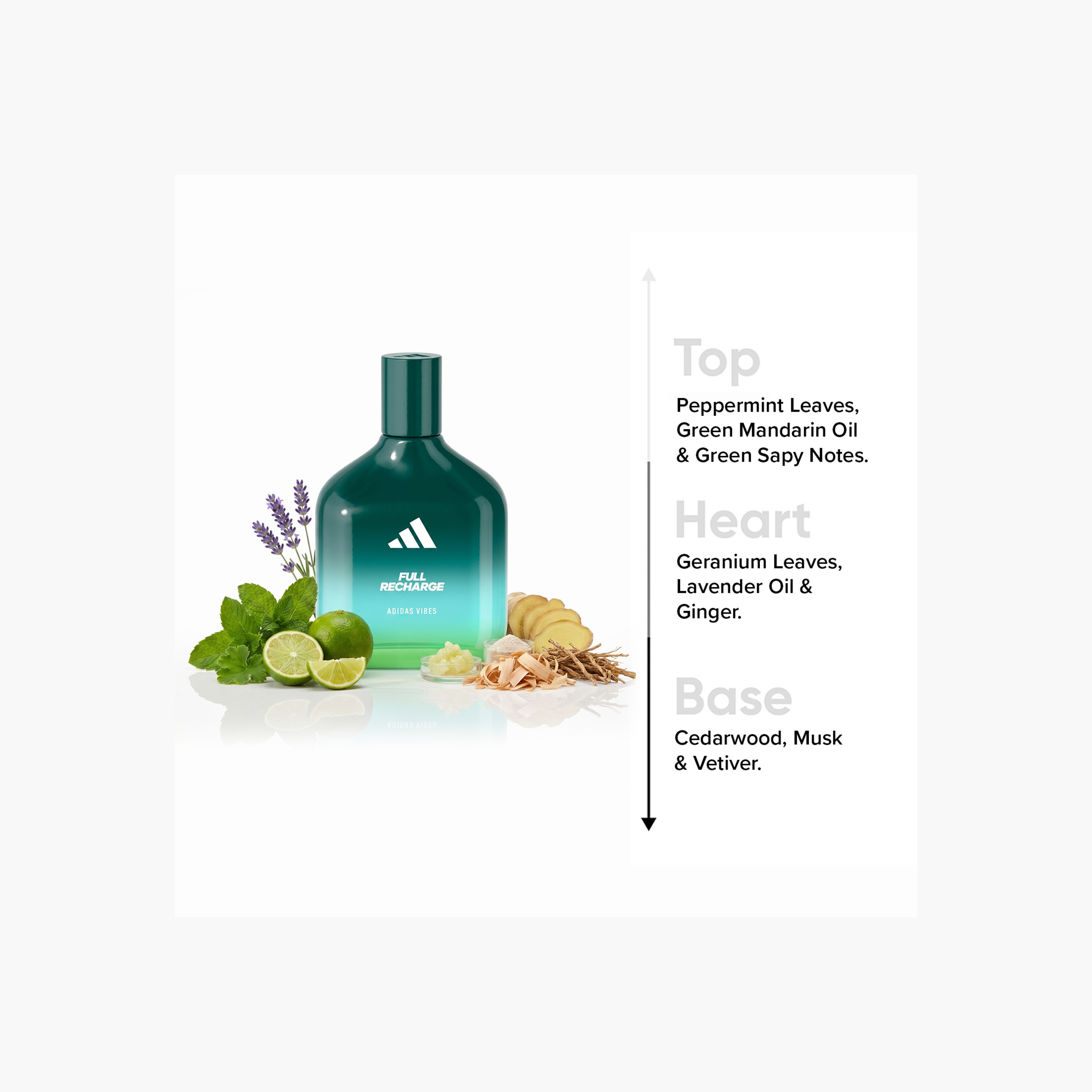 Adidas Vibes Full Recharge Eau de Parfum - 100 ml-beautyandpersonalcare-fragrance-unisex-image-2