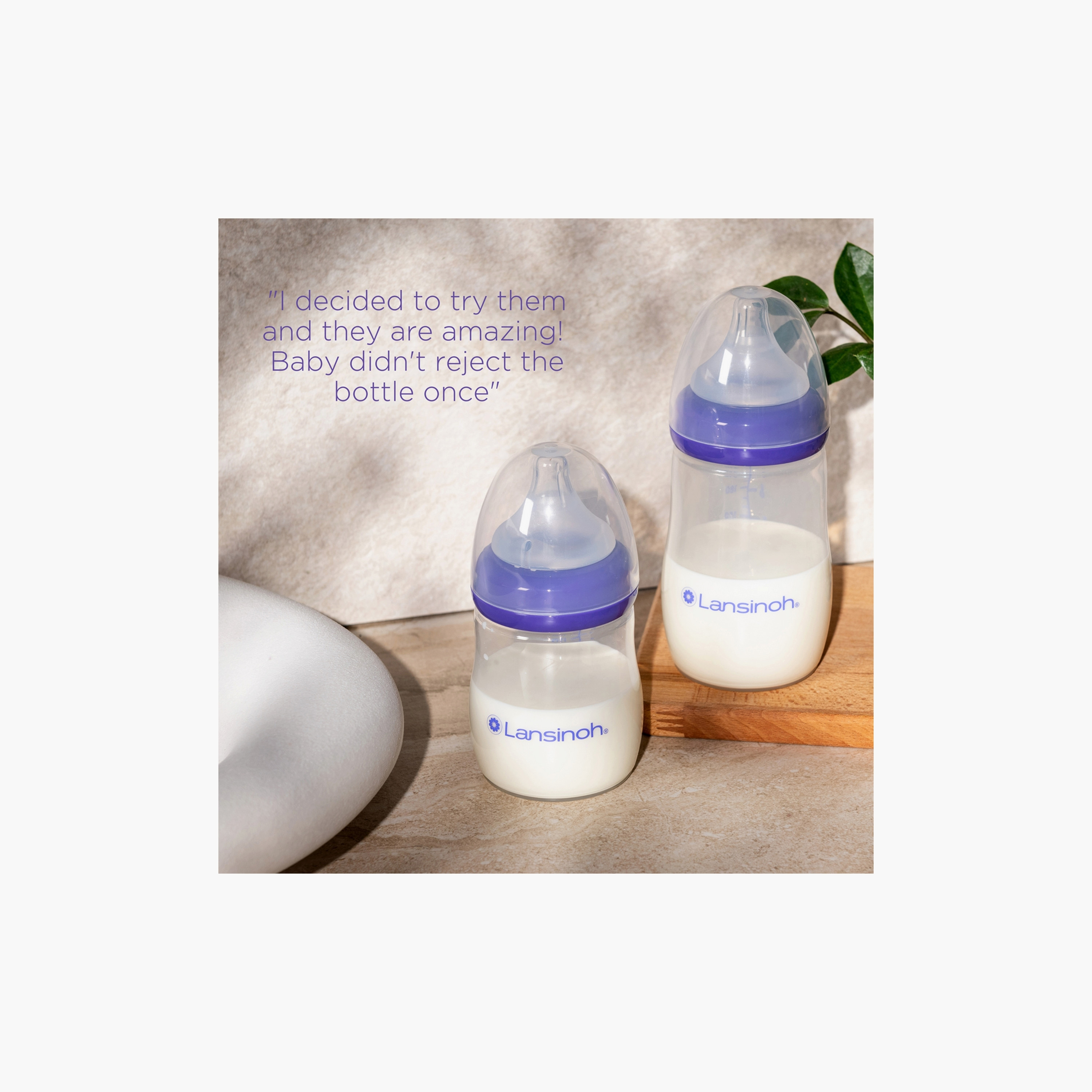 Lansinoh Pack of 2 Feeding Bottle Set - 240 ml-baby-feeding-feedingbottles-bottlesandteats-image-6