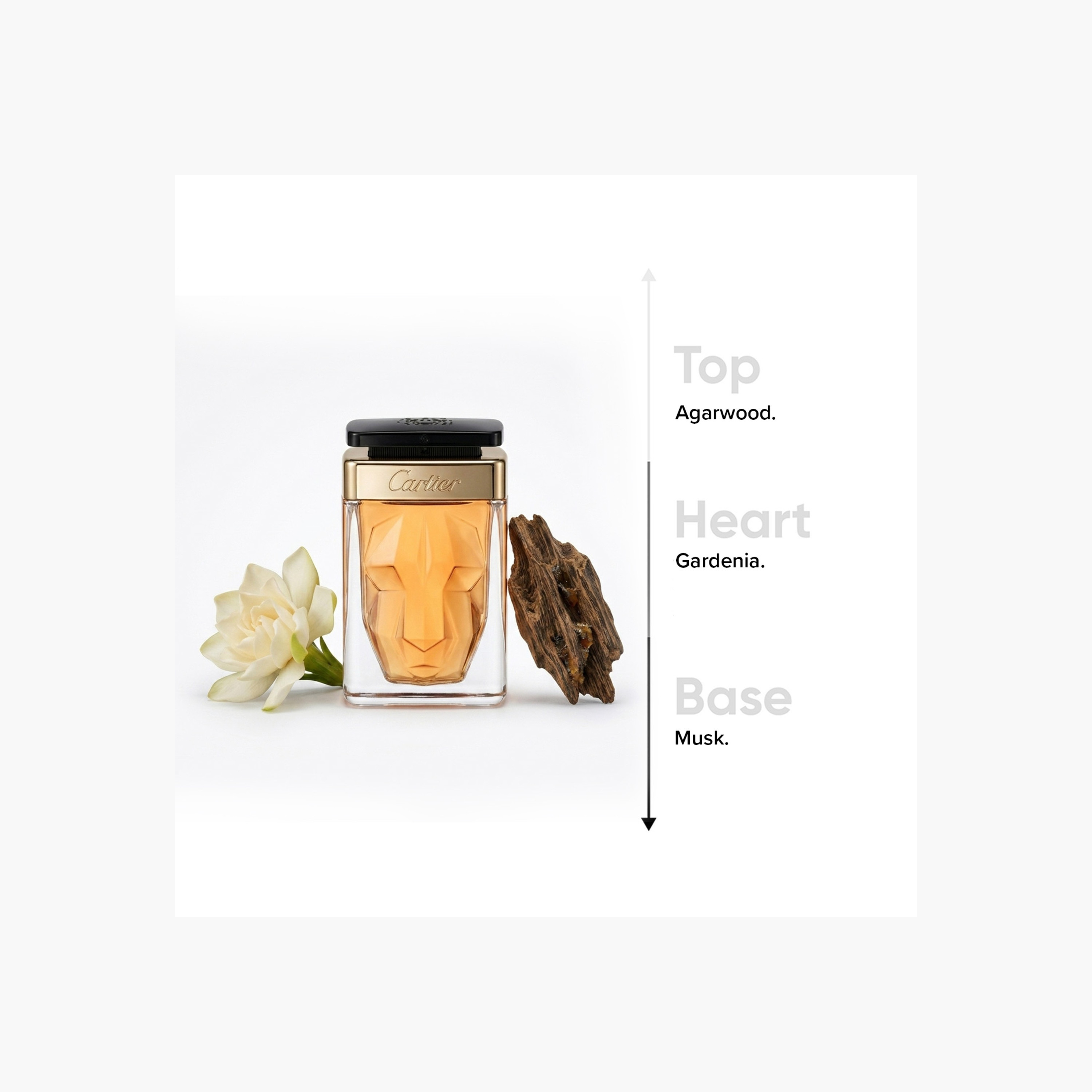 عطر لا بانثير نوار أبسولو أو دو برفان للنساء من كارتييه - 75 مل-beautyandpersonalcare-fragrance-women-image-4