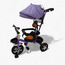 Juniors Tricycle with Handlebar and Canopy-toys-outdoor-bikesandrideons-trikes-image-6