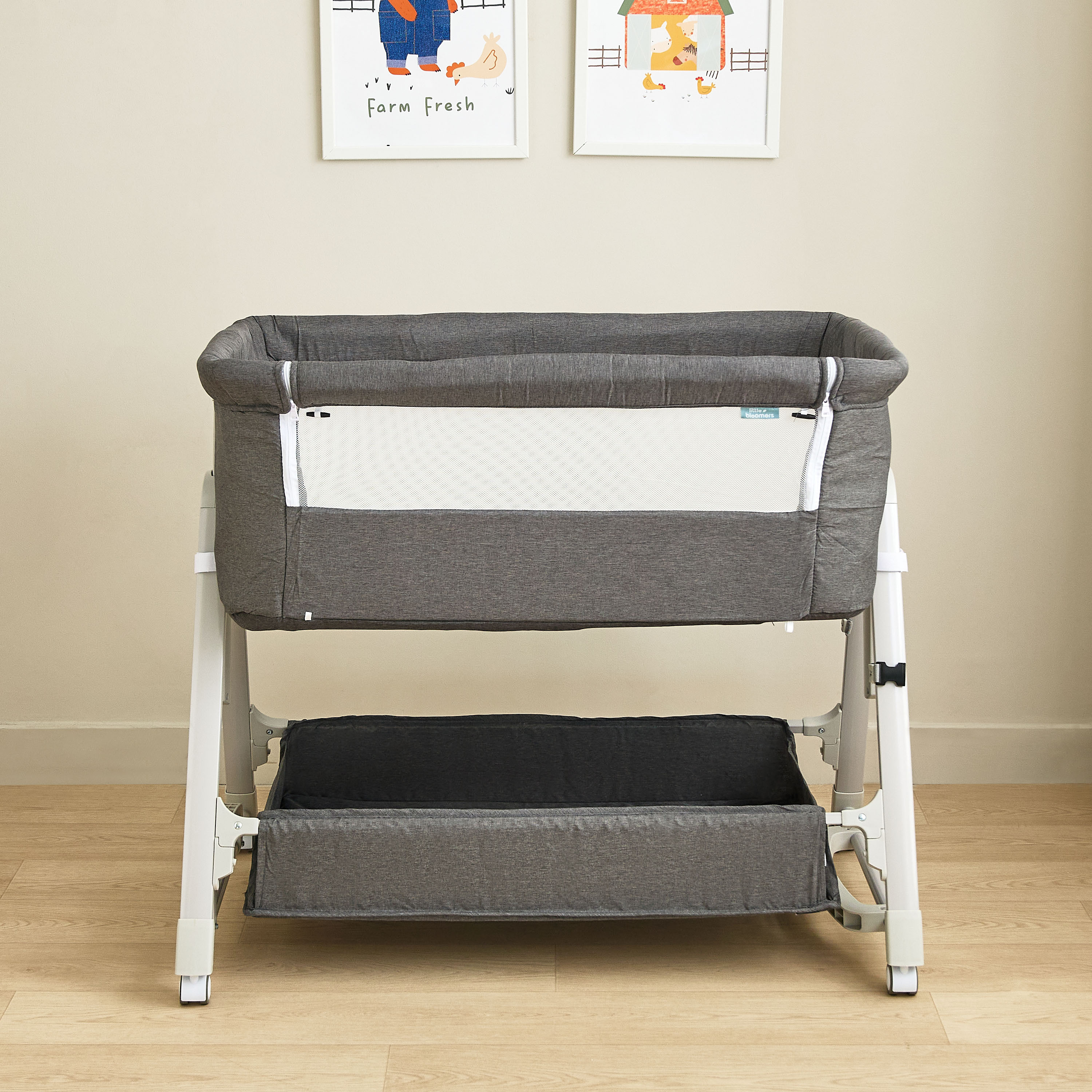 سرير هزاز من ليتل بلومرز من داليا-baby-nursery-furniture-cribsandbeds-bassinets-image-14