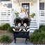 Joie Estrella Stroller with One Touch Folding System and Wheel Lock-baby-gear-strollersandprams-strollers-image-14