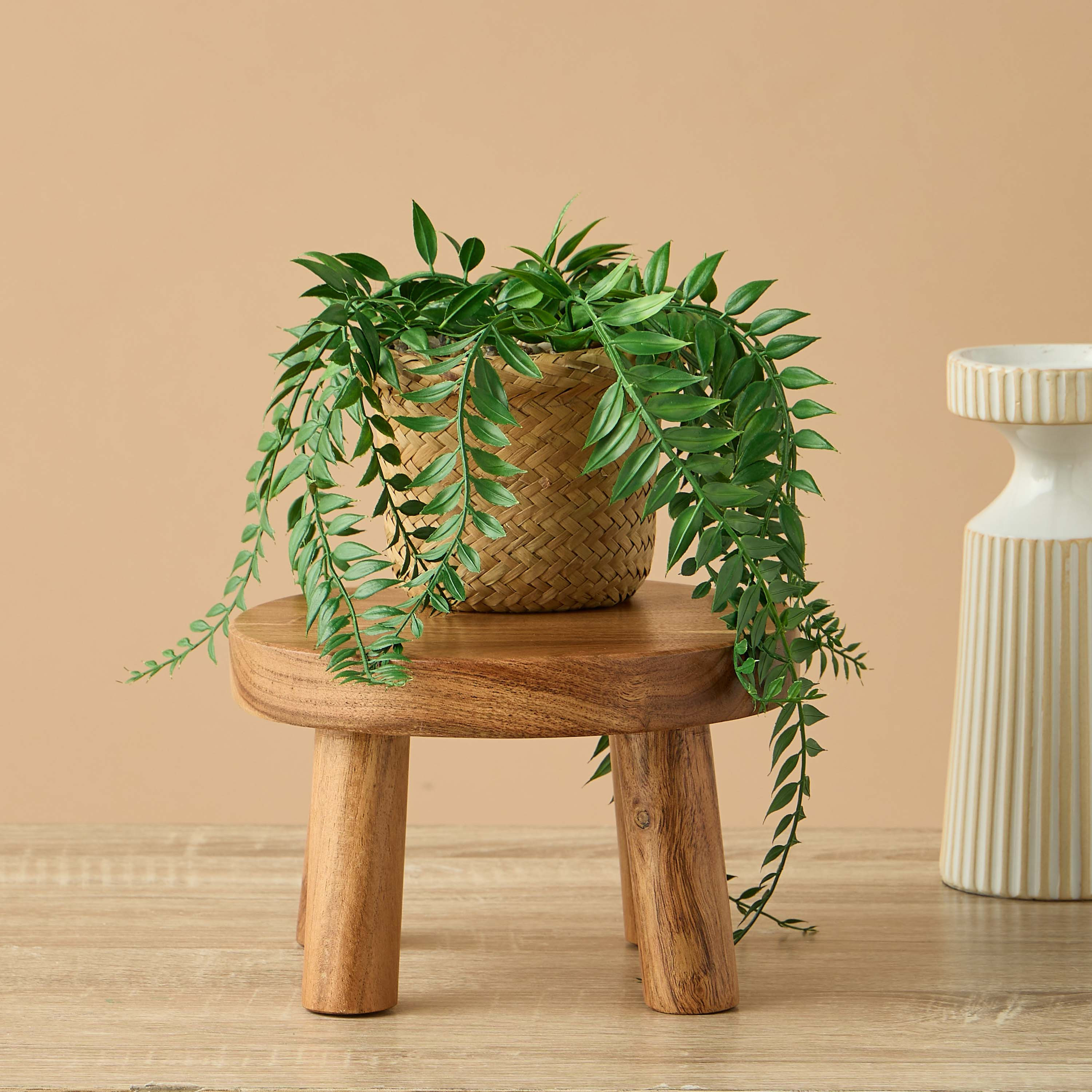 حامل نبات خشب - 20x13 سم-household-gardenandoutdoor-potsandplanters-image-4
