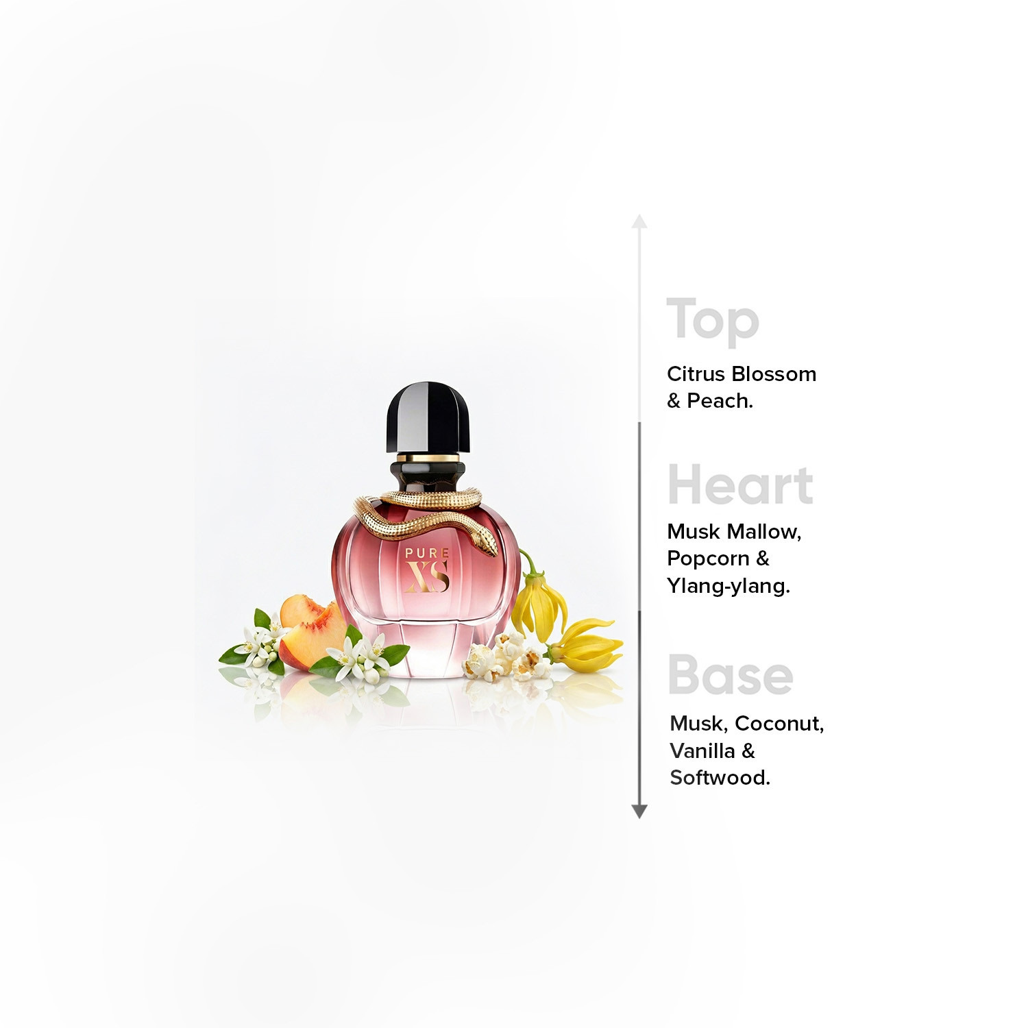 عطر أو دو بارفان اكس اس بيور للنساء من باكو رابان - 80 مل-beautyandpersonalcare-fragrance-women-image-4