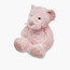 Juniors Teddy Bear Soft Toy-toys-plushsofttoys-teddybears-image-1