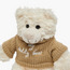 Juniors Teddy Bear Soft Toy-toys-dollsandplaysets-dolls-image-4