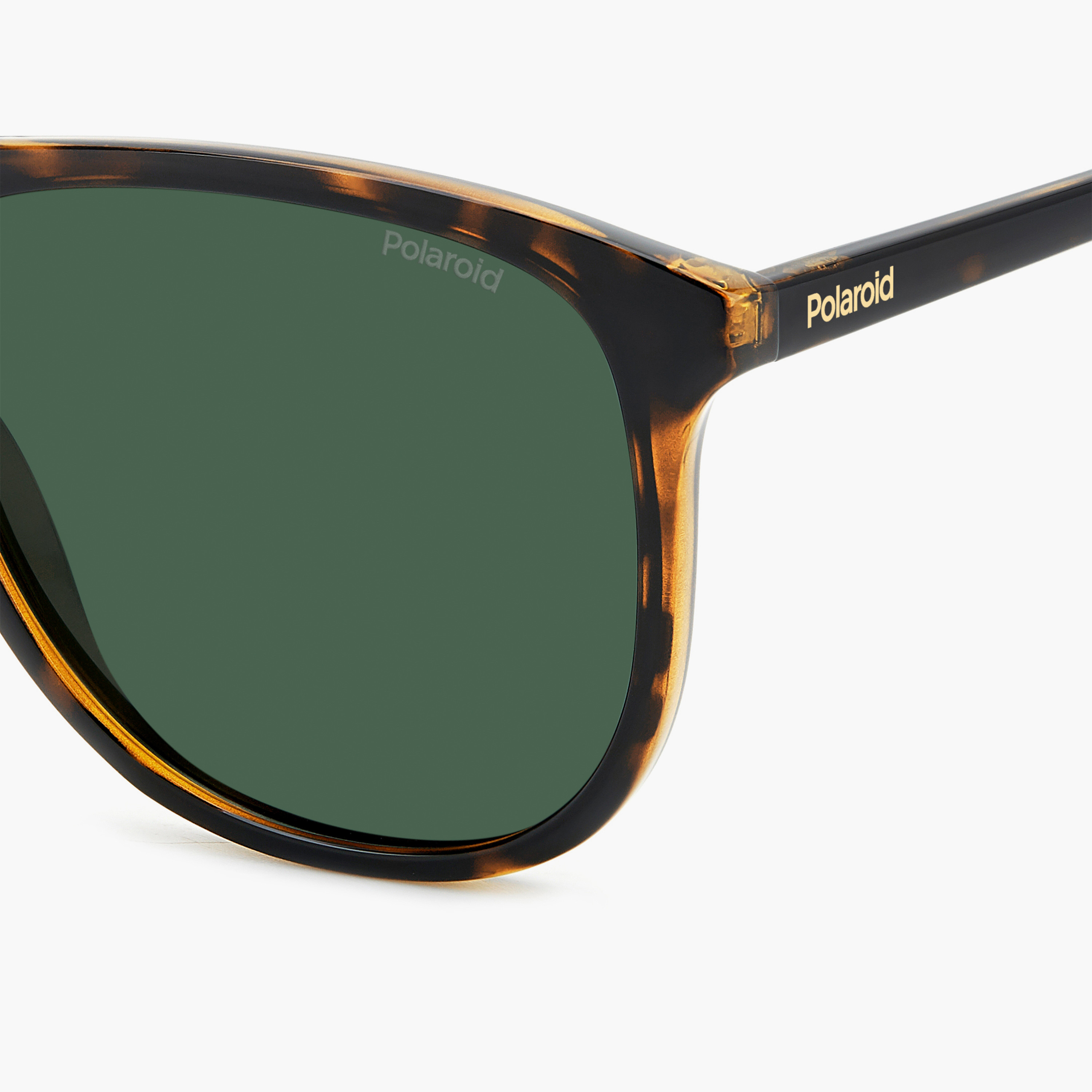 Polaroid Polarized 58MM Green Square Sunglasses-men-sunglasses-image-6