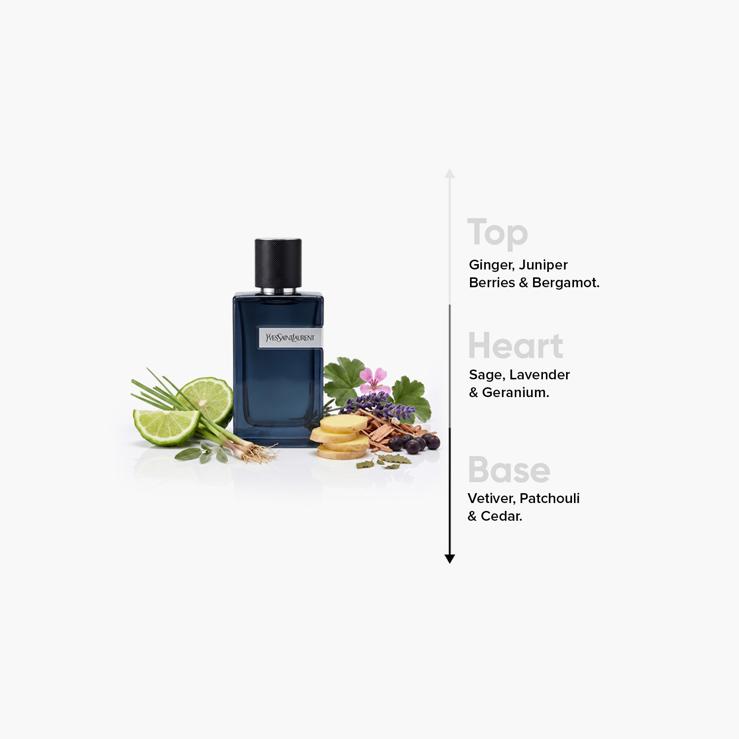 Yves Saint Laurent Intense Eau de Parfum for Men - 100 ml-beautyandpersonalcare-fragrance-men-image-4