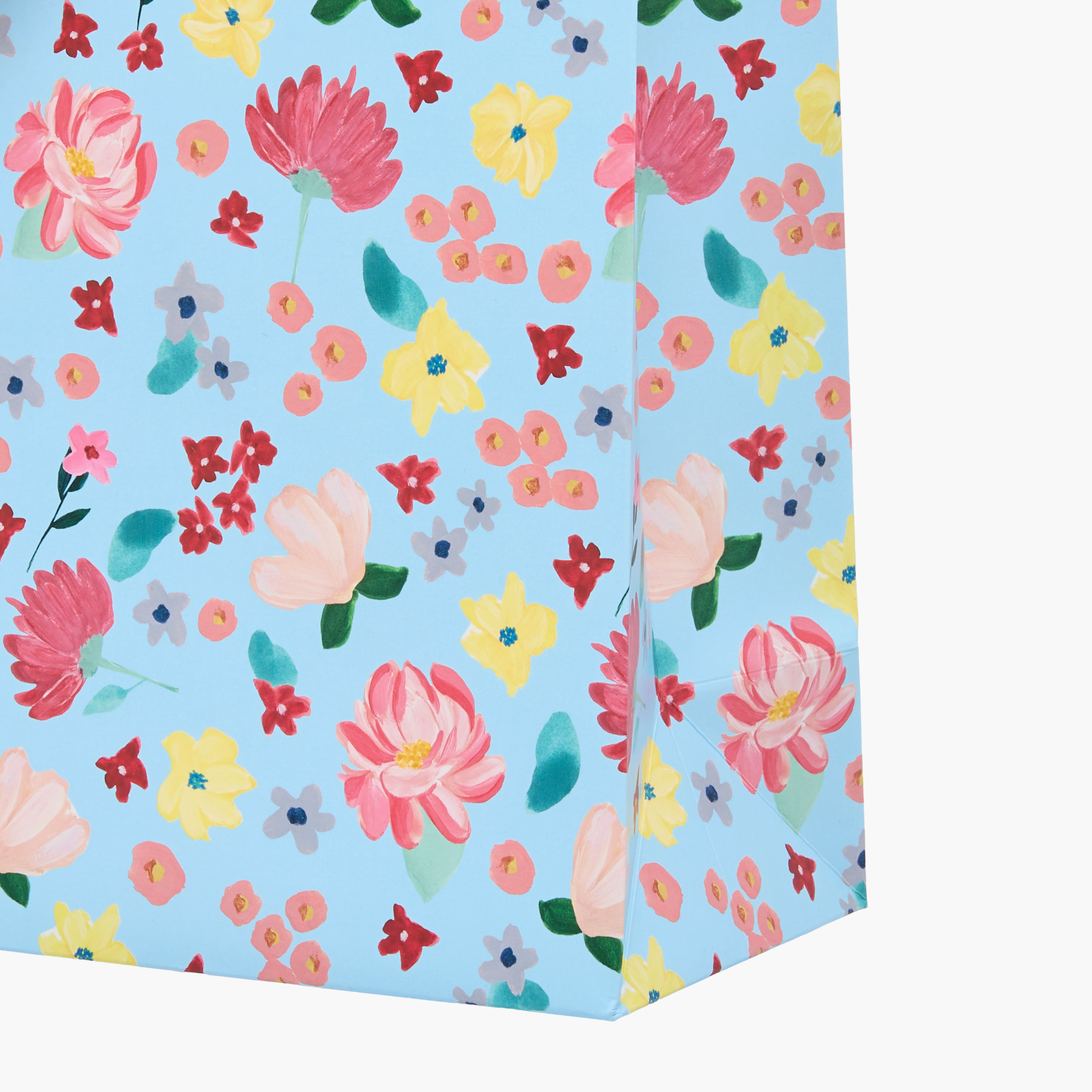 Eurowrap Floral Print Gift Bag - 22x0.4x25 cms-household-giftingaccessories-giftings-image-4