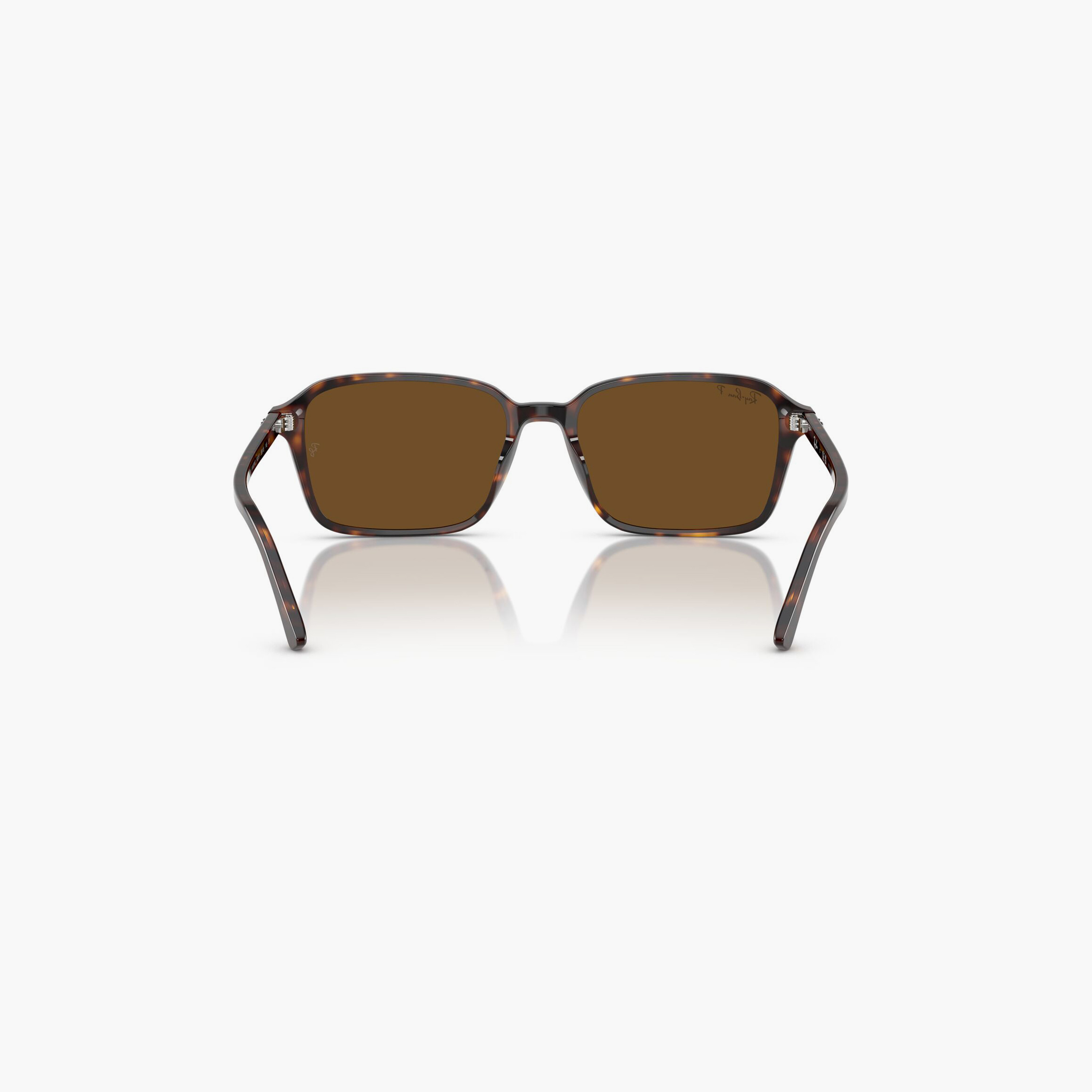 ريبان- نظارة شمسية مربعة بنية مقاس 56 مم مستقطبة من Raimond - 0RB2231-men-sunglasses-image-6