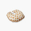 Fancy Fluff Bear Print Feeding Pillow with Reclining Support-baby-nursery-babybedding-image-3