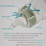 قارورة رضاعة بتدفق بطيء من جونيورز - 150 مل - 0-12 شهر-baby-feeding-feedingbottles-bottlesandteats-image-3