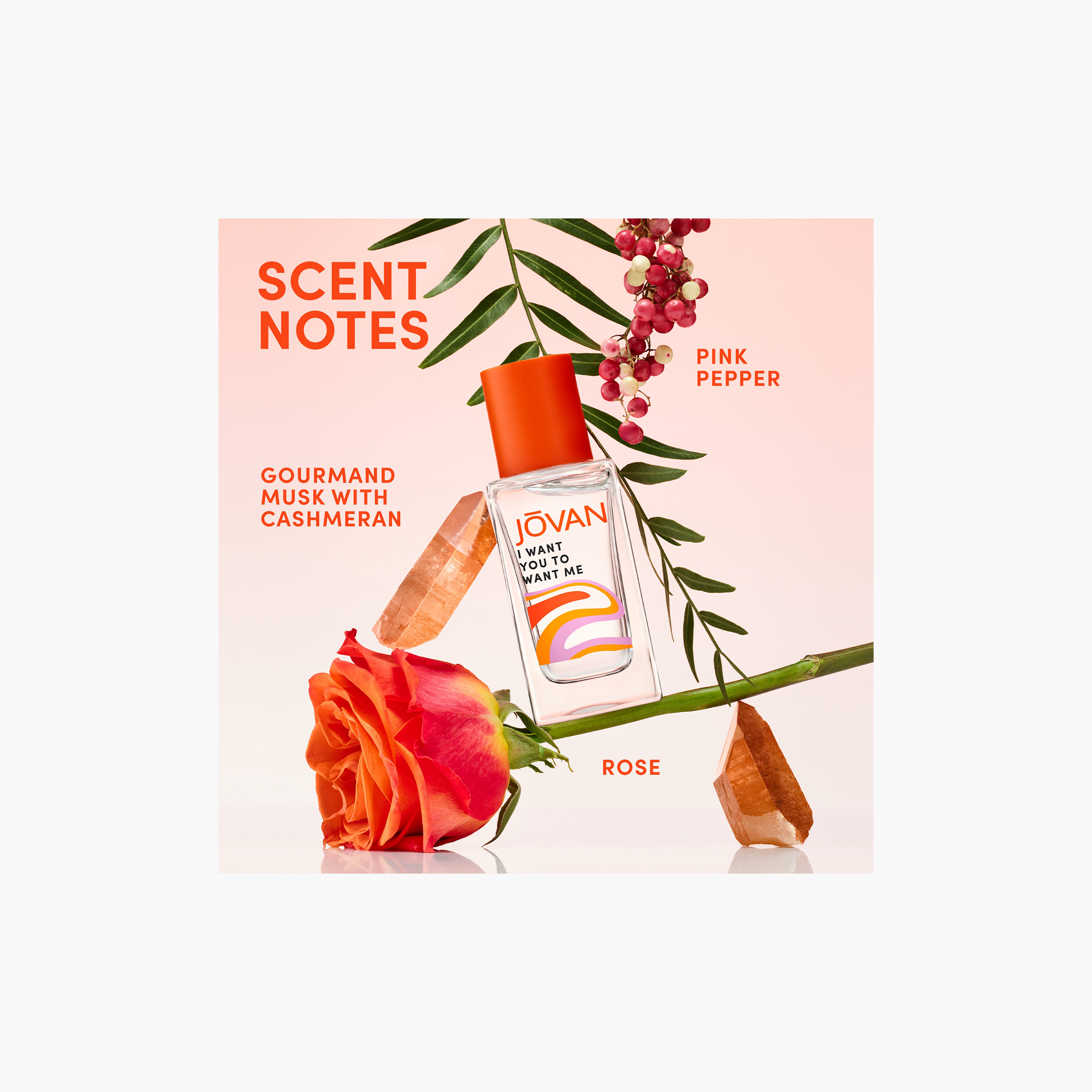 عطر جوفان المسكي الساحر 50 مل-beautyandpersonalcare-fragrance-unisex-image-4