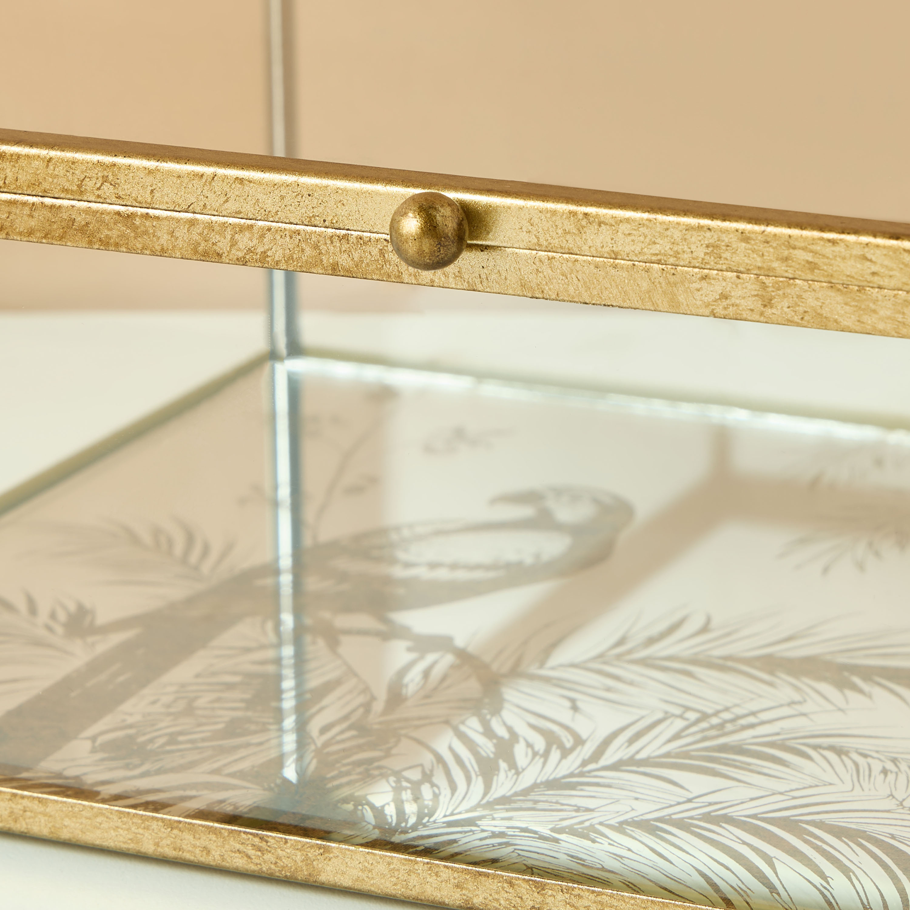 Botanical Print Decorative Glass Box - 23x18x8 cms-household-decor-boxesandtrays-image-6