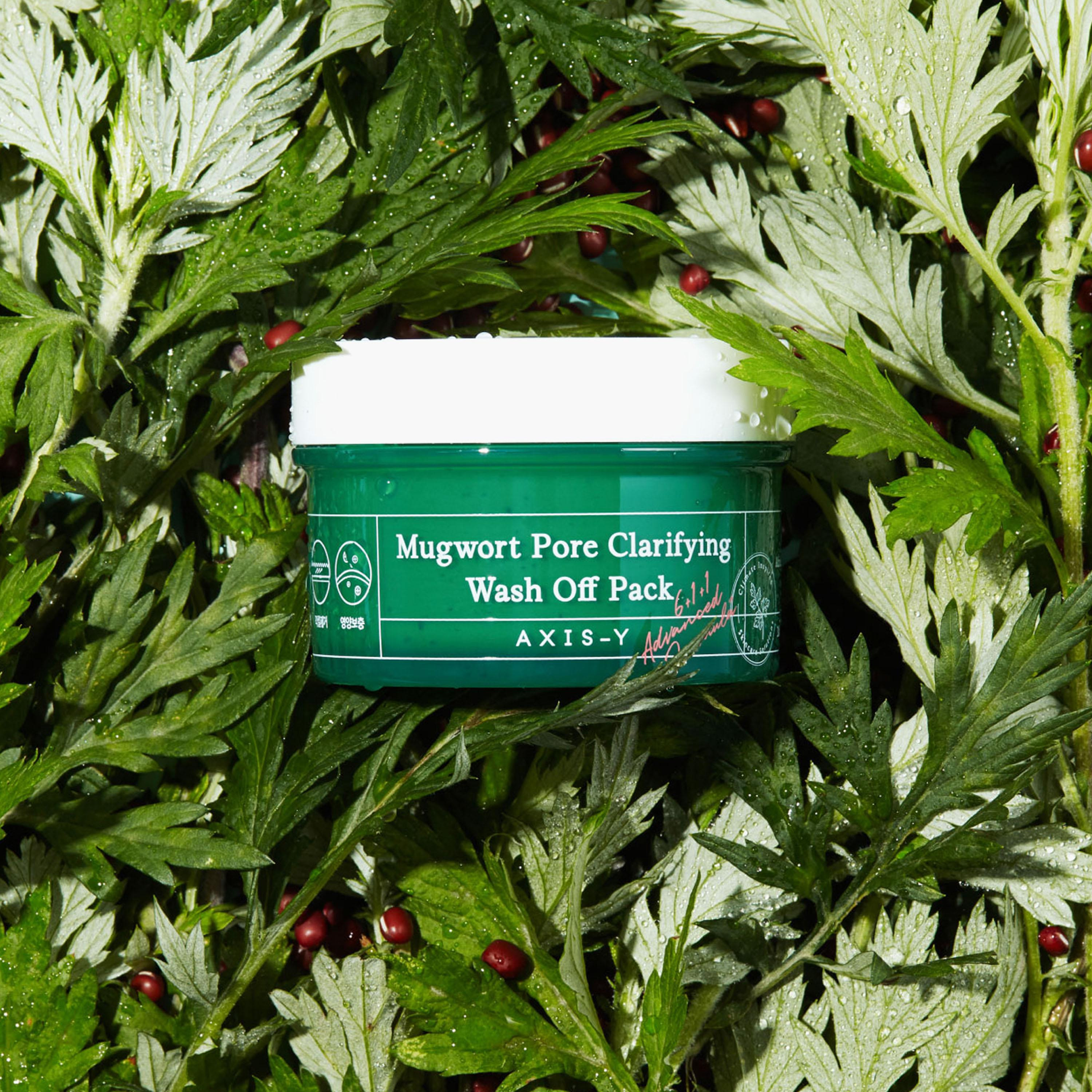 AXIS-Y Mugwort Pore Clarifying Wash Off Pack - 100 ml-beautyandpersonalcare-kbeauty-skin-treatmentsandserums-image-2
