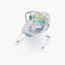Bright Starts Safari Fun Vibrating Bouncer - 0-6 Months-baby-infantactivity-bouncers-image-1