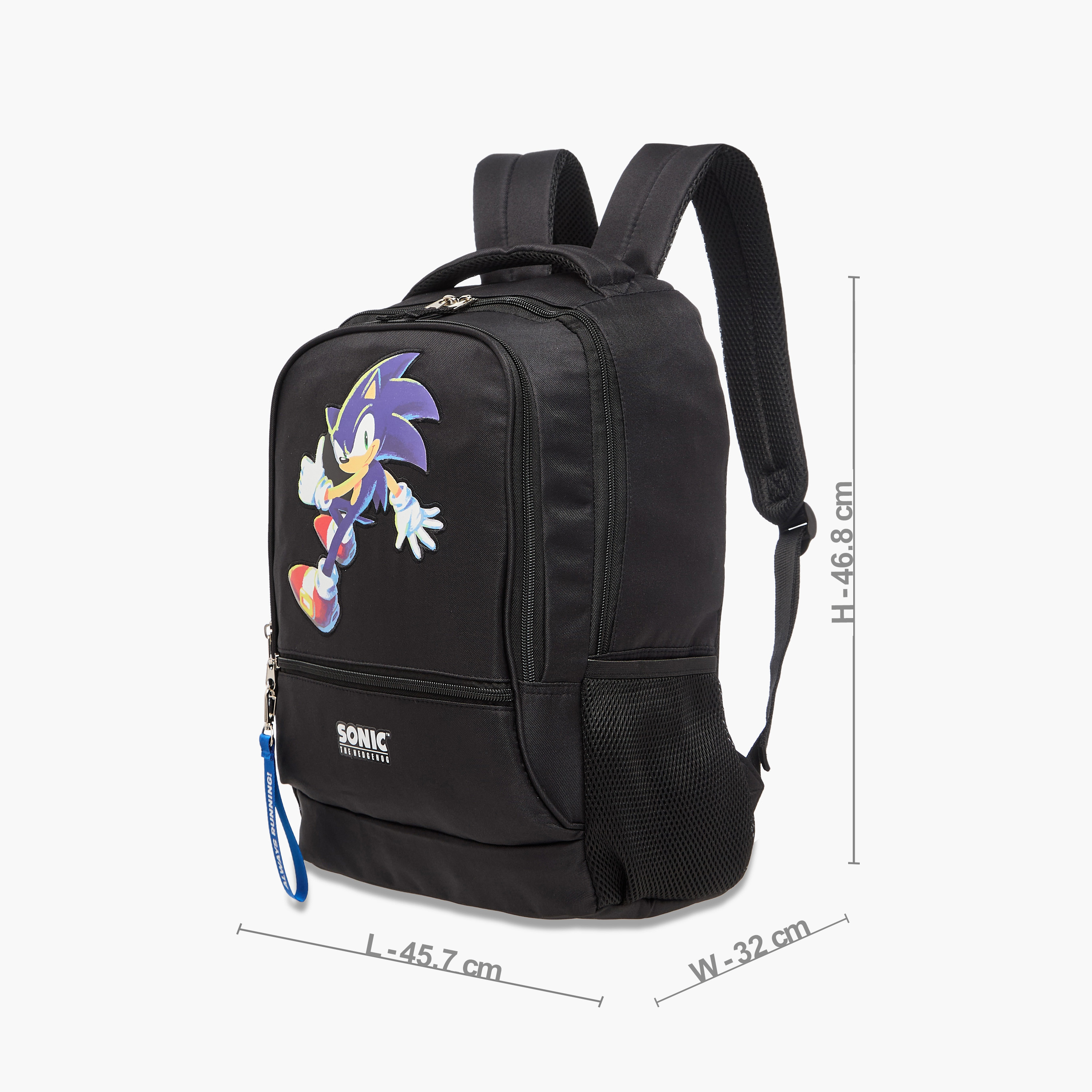Sonic the Hedgehog Print Backpack with Adjustable Straps and Zip Closure - 18 inches-school-bagsandbackpacks-backpacks-image-2