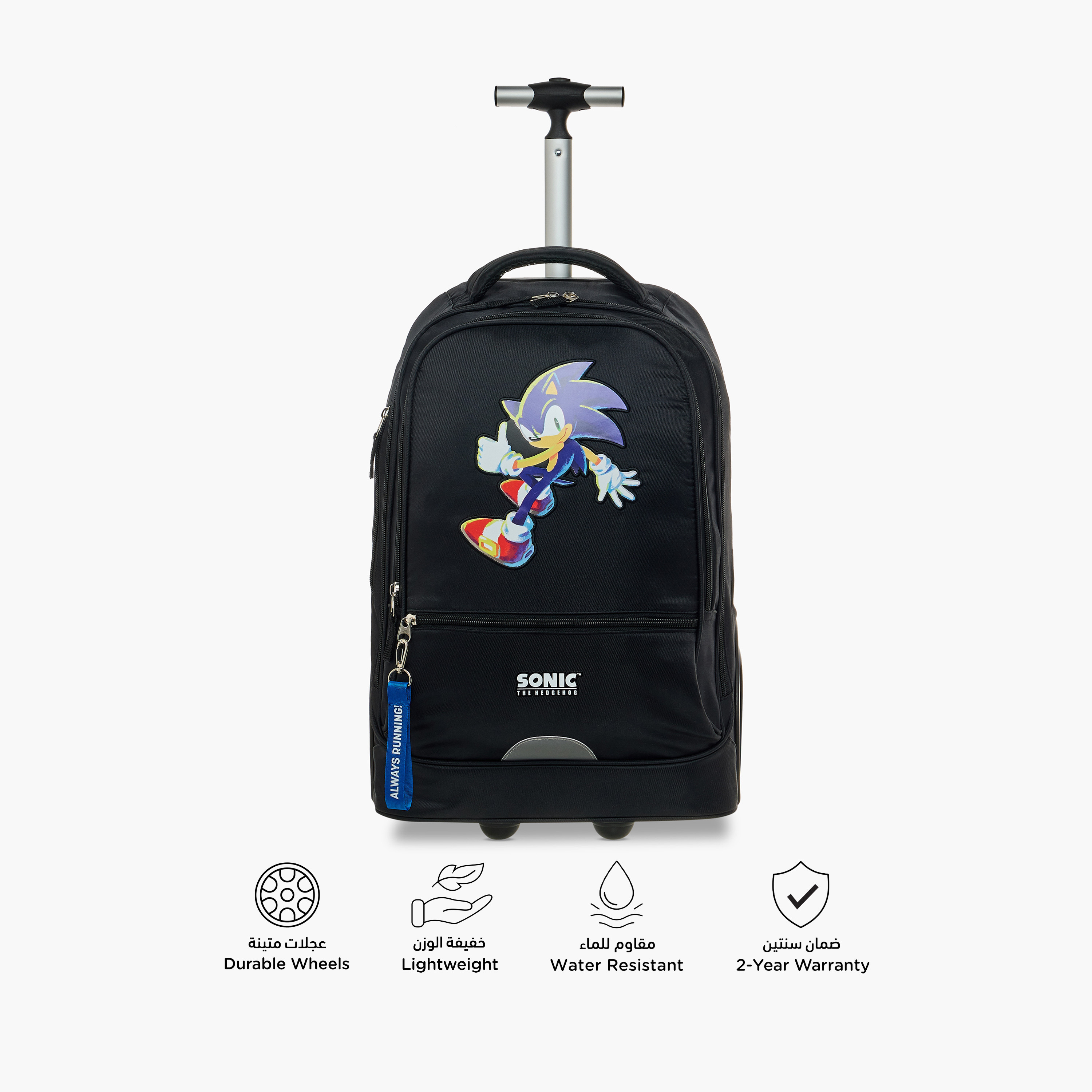 شنطة ترولي بمقبض قابل للسحب وطبعات سونيك ذا هيدجهوج - 18 بوصة-school-bagsandbackpacks-trolleybags-image-5