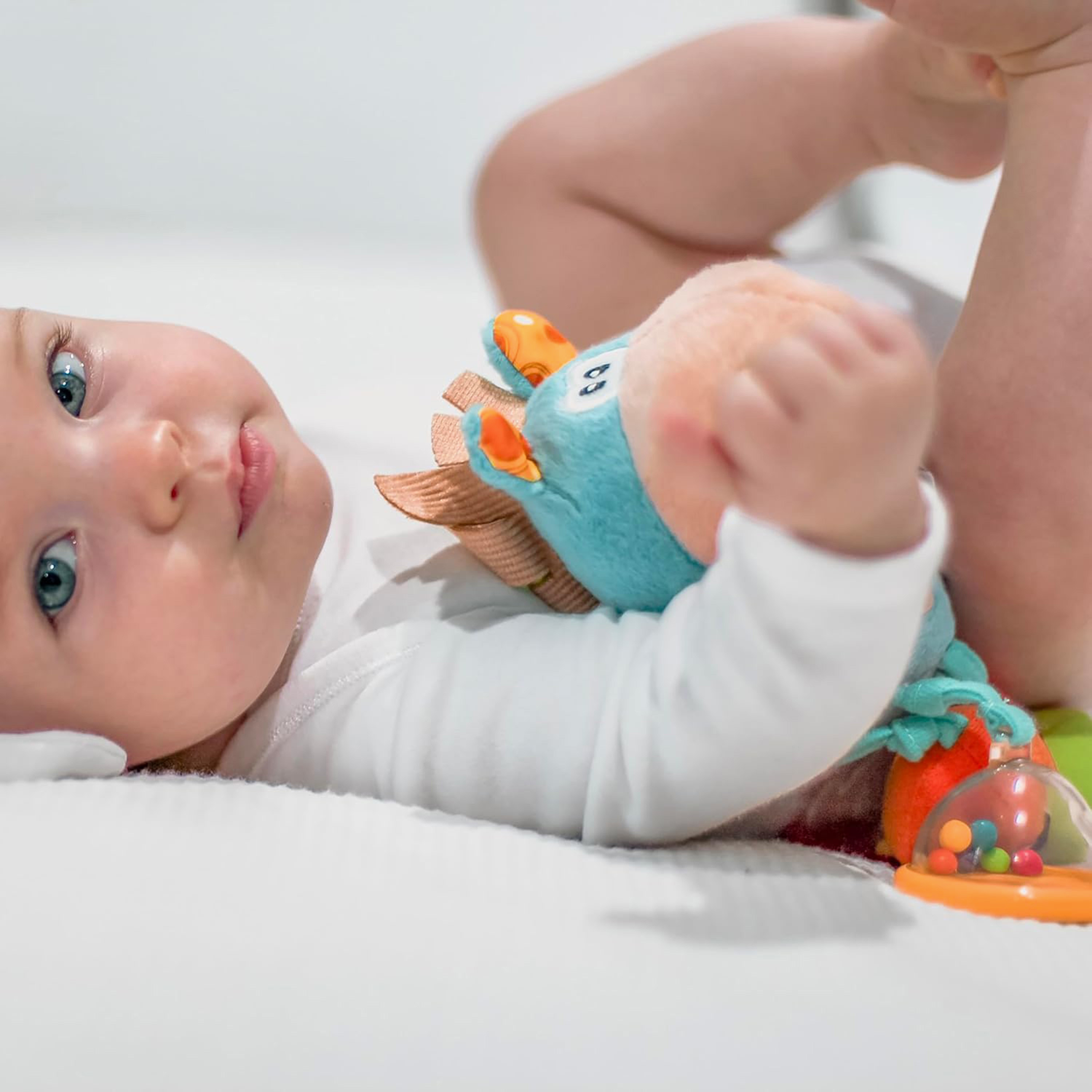لعبة خشخيشة كليب كلوب من بلاي جرو-toys-babyandtoddlertoys-rattlesandteethers-image-8