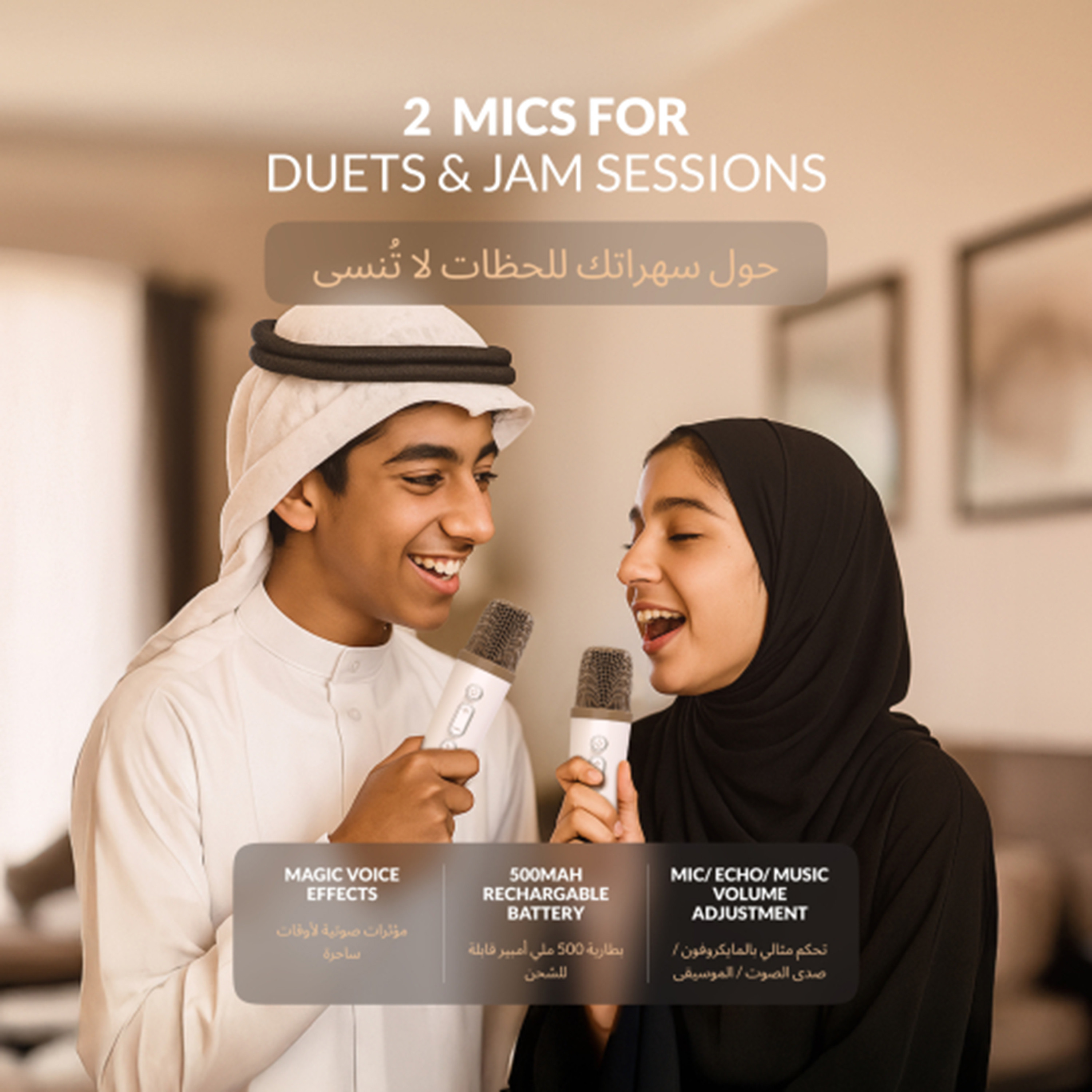 Findz Karaoke Speaker with 2 Microphones-electronics-accessories-image-15