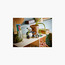 مجموعة لعب الحيوانات البرّية: عائلة الباندا من ليغو® كرييتور‏ 3 في 1 31165-toys-buildingblocks-blocks-image-3