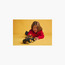 LEGO® Technic Monster Jam™ DIGatron™ Pull-Back Truck Toy 42199-toys-buildingblocks-blocks-image-7