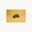LEGO® Technic Monster Jam™ DIGatron™ Pull-Back Truck Toy 42199-toys-buildingblocks-blocks-image-8