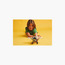 المركبة اللعبة للأطفال طائرة الأدغال من ليغو® Technic‏ 42198-toys-buildingblocks-blocks-image-3