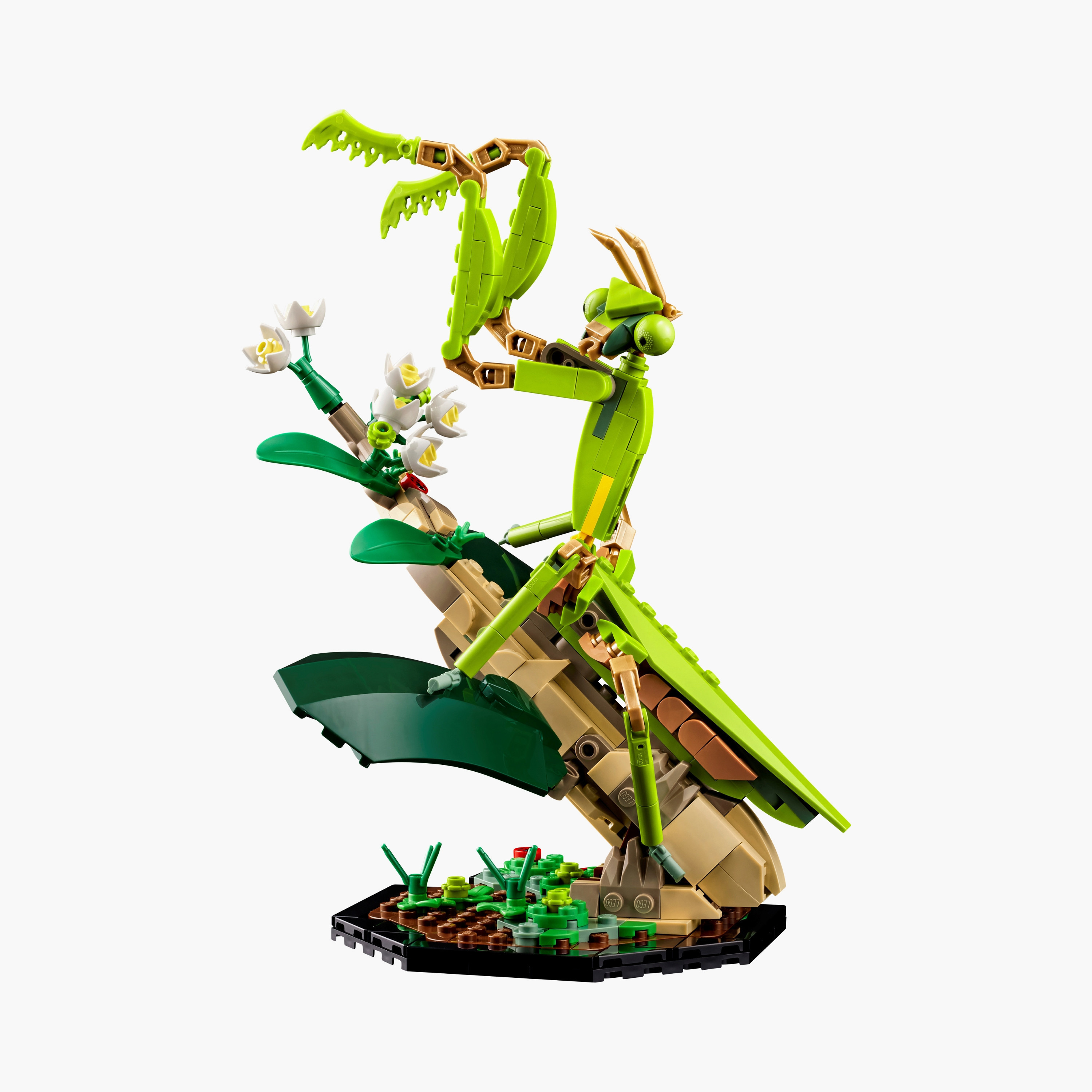 مجموعة الحشرات 21342 للبالغين من LEGO® Ideas (1111 قطعة)-toys-buildingblocks-blocks-image-6