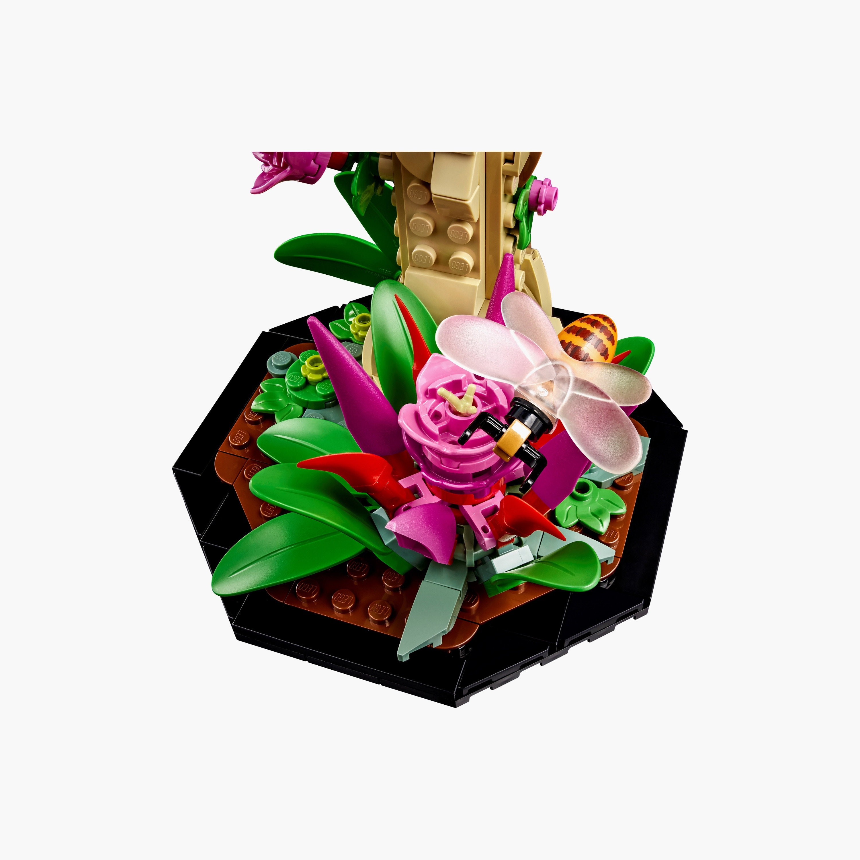 مجموعة الحشرات 21342 للبالغين من LEGO® Ideas (1111 قطعة)-toys-buildingblocks-blocks-image-8