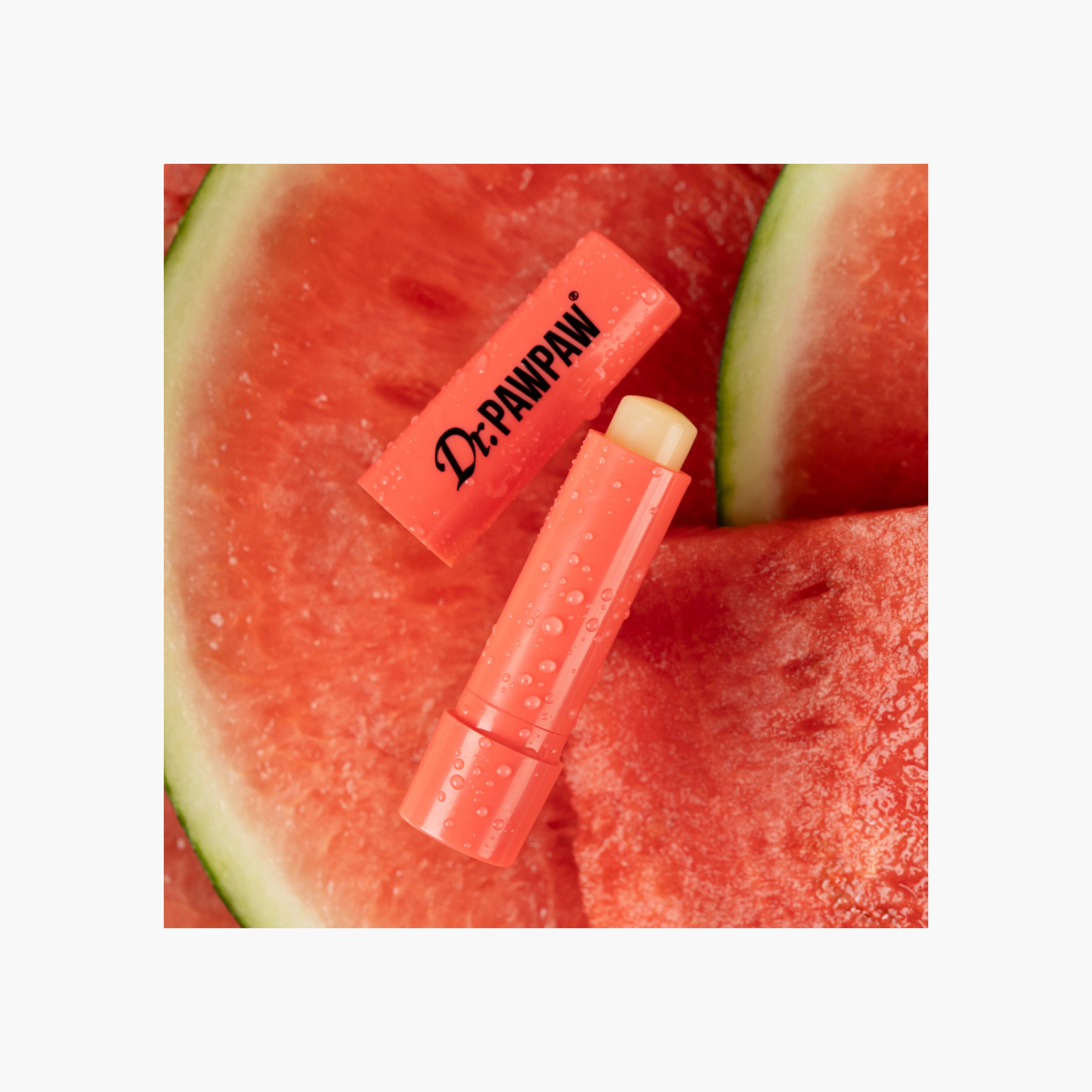 Dr. PAWPAW Lip Balm for Dryness with Castor Oil and Aloe Vera - 4 gms-beautyandpersonalcare-kbeauty-makeup-lips-lipglossesandbalms-image-6