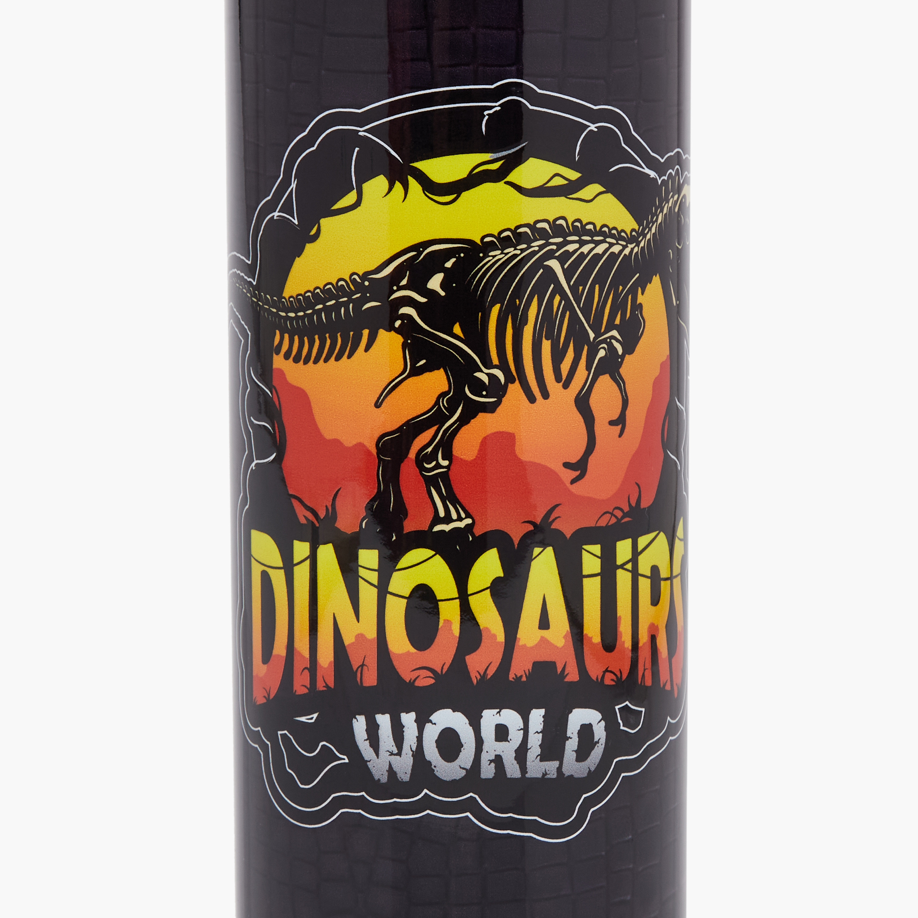 Juniors Dinosaur Stainless Steel Water Bottle with Water Mist Trigger – 500 ml-school-waterbottles-image-6