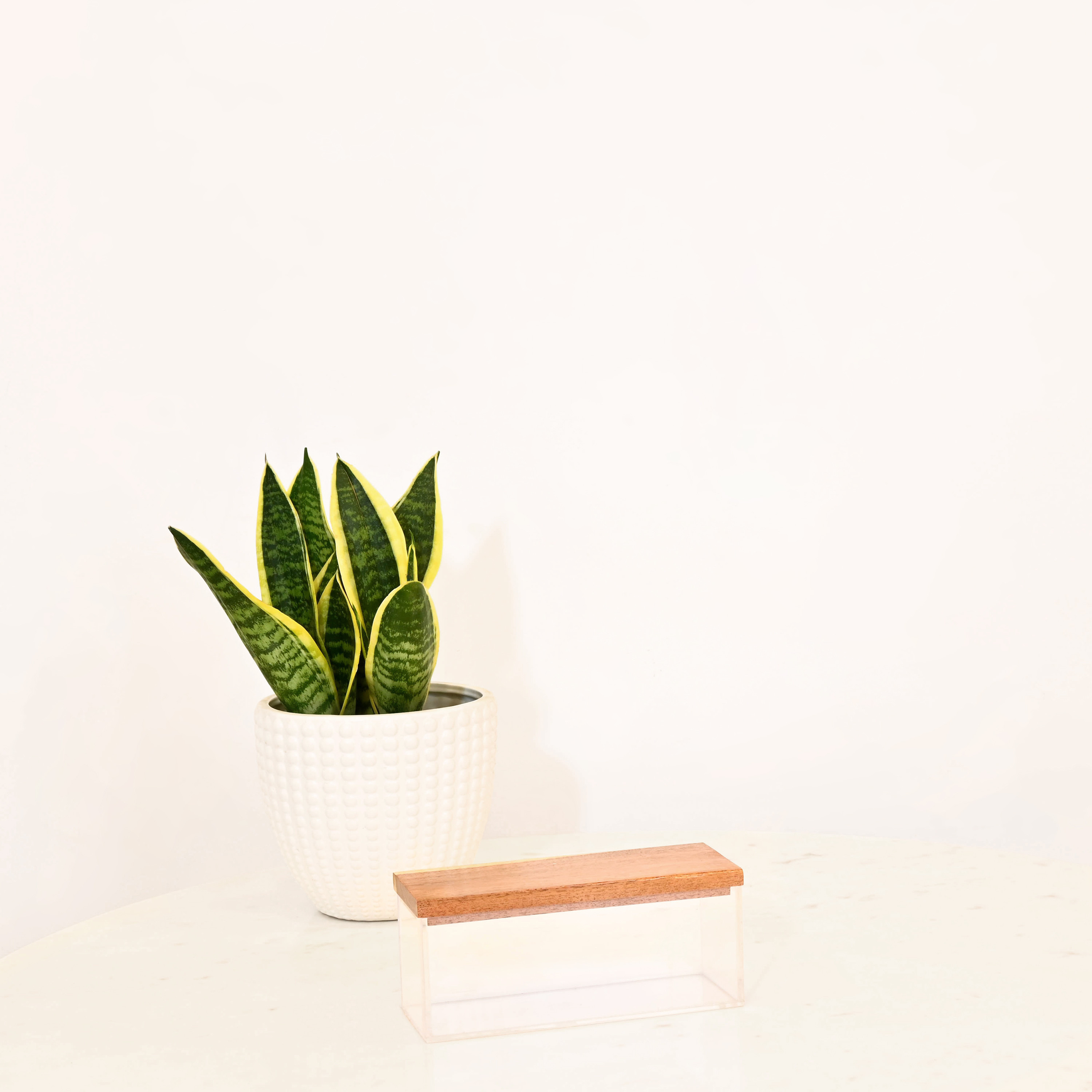 Crafted by Lifestyle Acrylic Decorative Box with Wooden Lid-household-decor-boxesandtrays-image-1