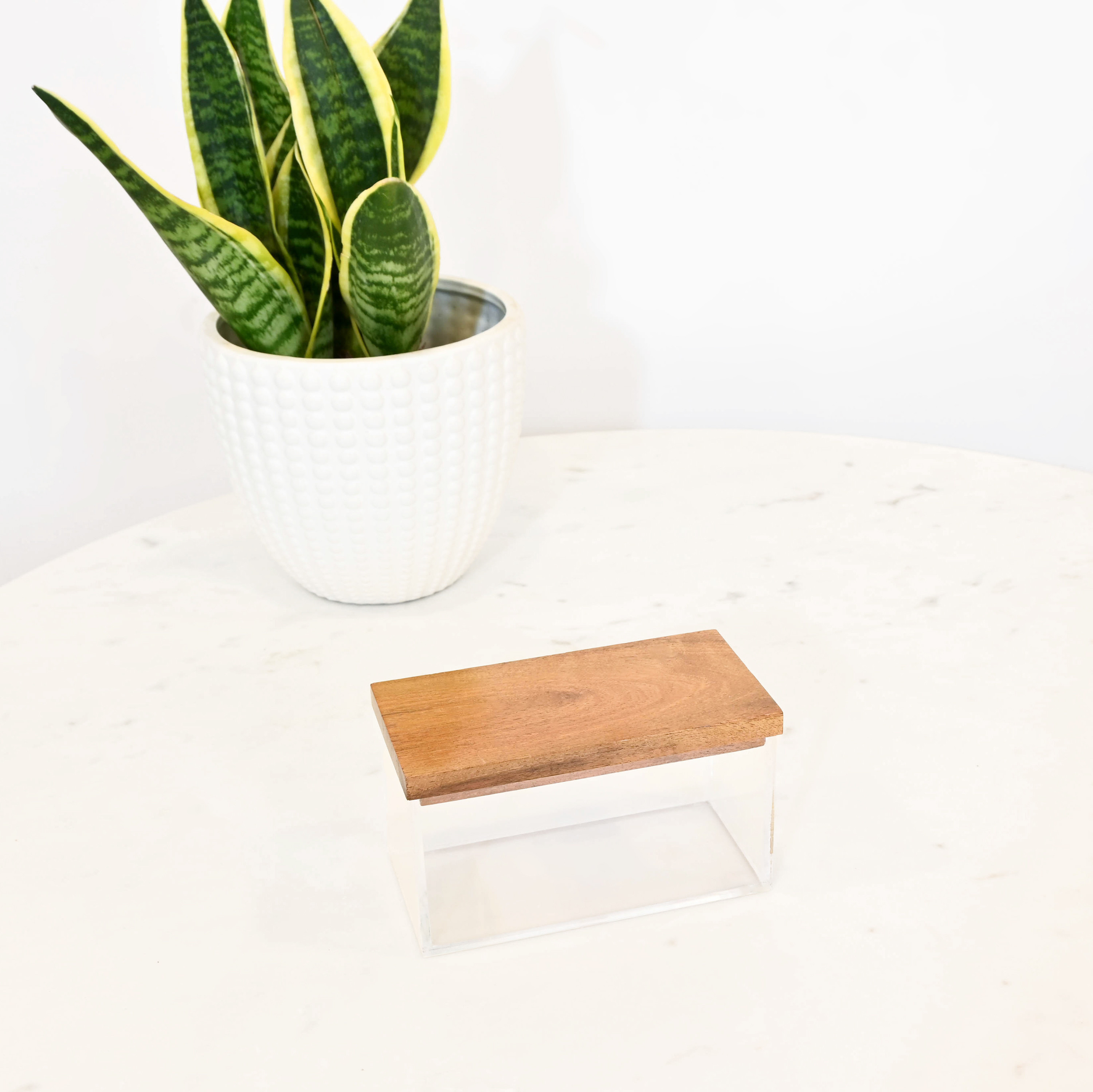 Crafted by Lifestyle Acrylic Decorative Box with Wooden Lid-household-decor-boxesandtrays-image-1