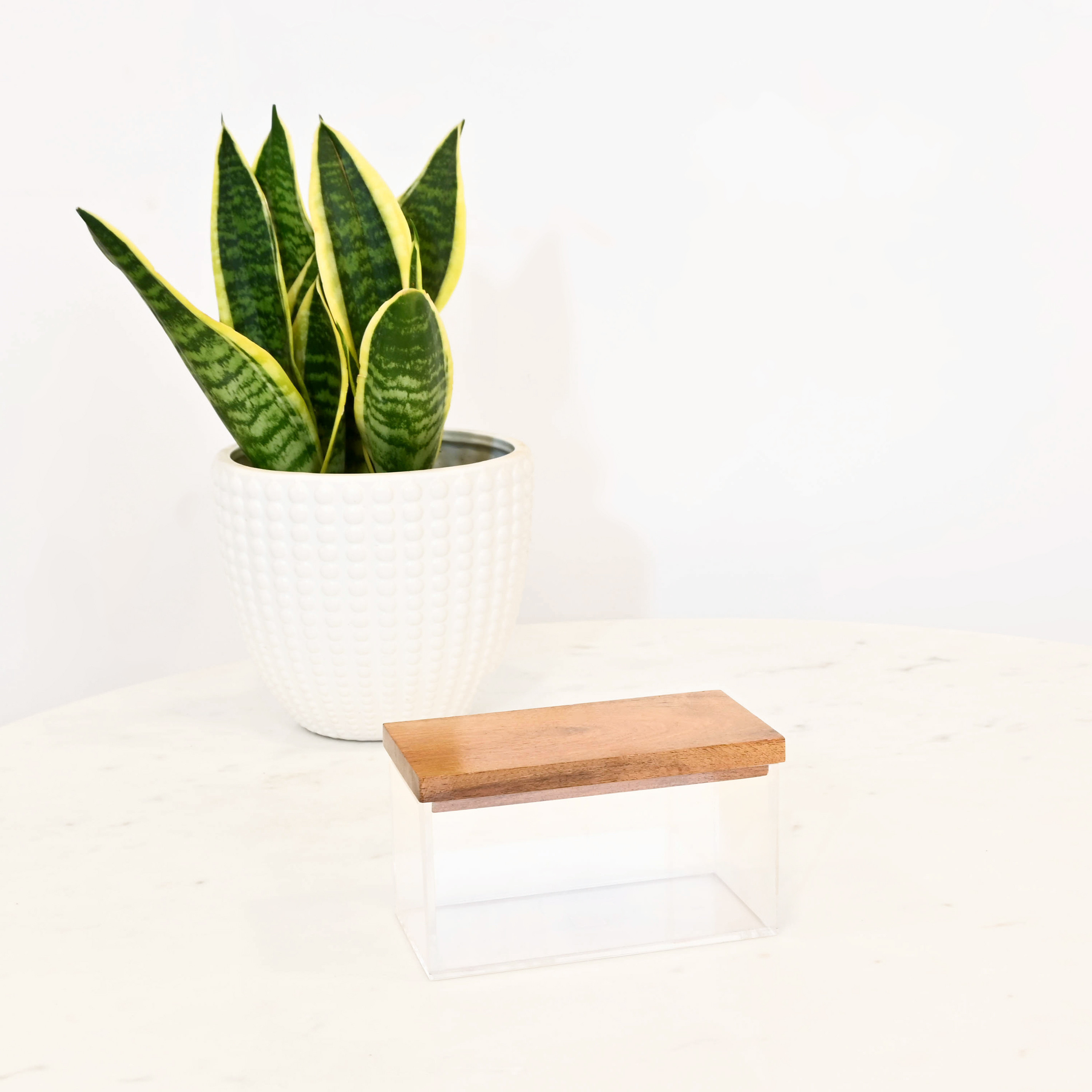 صندوق ديكور أكريليك بغطاء خشب من لايف ستايل-household-decor-boxesandtrays-image-2