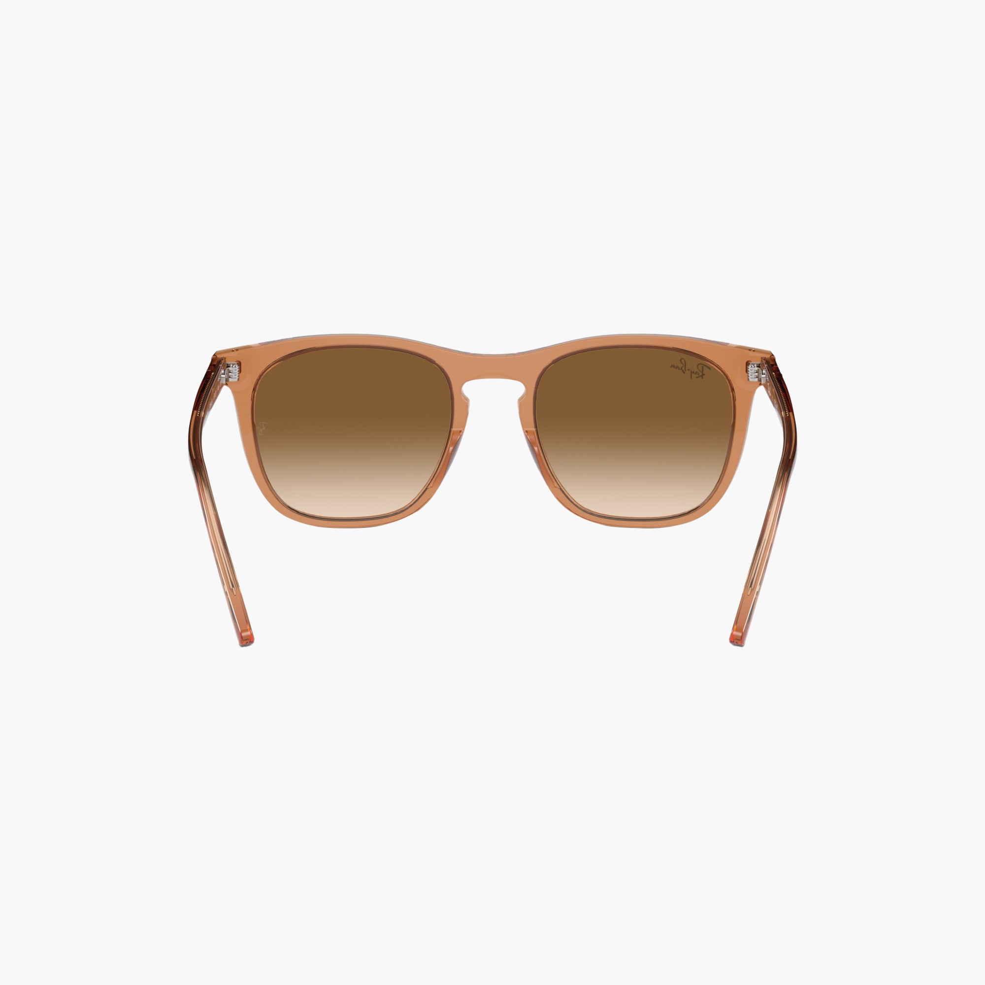 Ray-Ban Sunglasses Wayfarer Brown Lens-women-sunglasses-image-4
