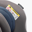 Juniors Speedwell Convertible Car Seat with 5-Point Safety Harness, Rear Facing and Seat Belt System-baby-gear-carseats-image-14