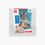 Hola Dancing Bunny Interactive Toy with Music - 12 Months+-toys-babyandtoddlertoys-lightsandmusicaltoys-image-4