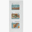 Baby Walker and Activity Centre-baby-infantactivity-walkers-image-13