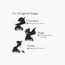 UPPAbaby Minu V3 Cabin Approved Stroller with Metal Frame and Fold-Friendly Adapters-baby-gear-strollersandprams-strollers-image-6