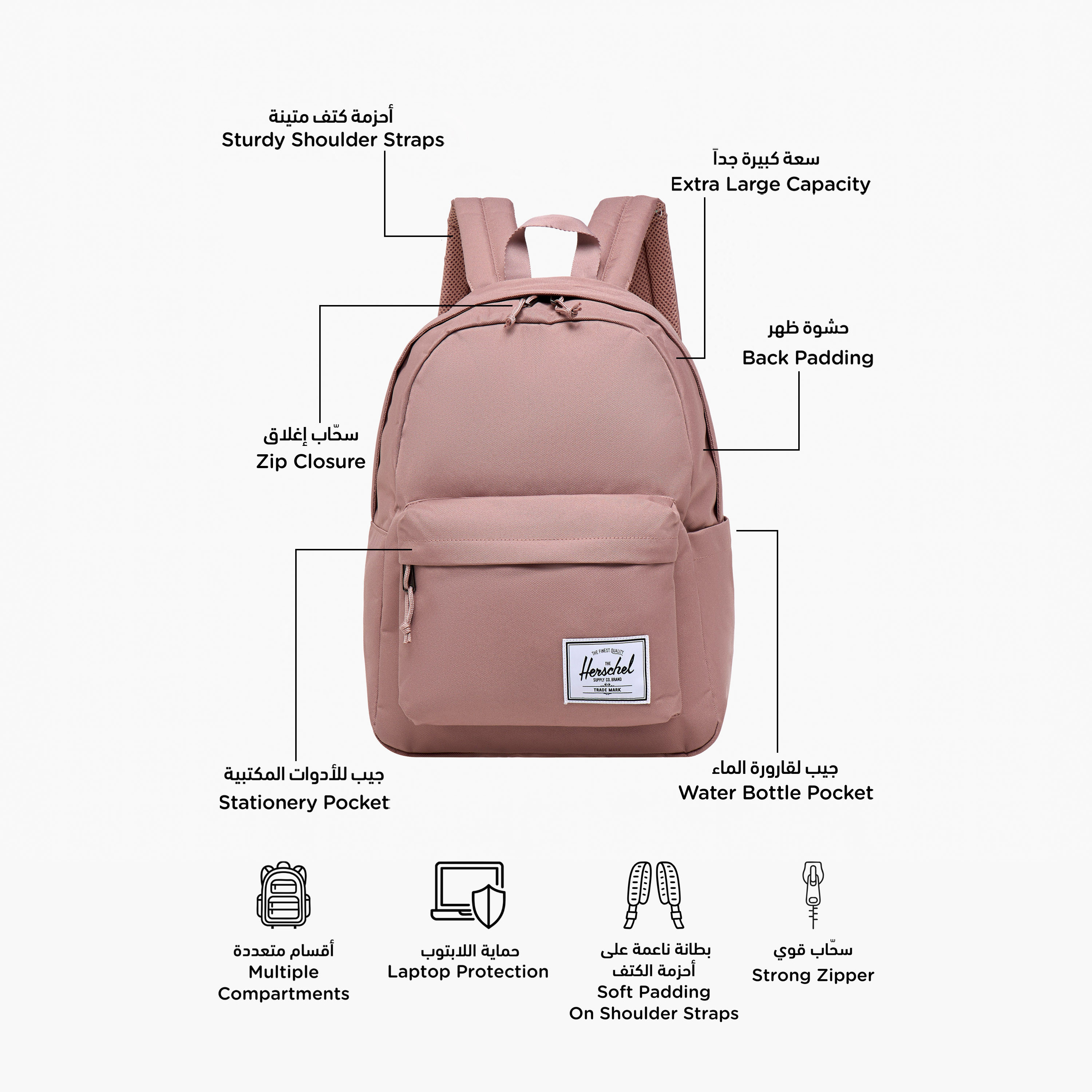 Herschel Supply Co Solid Backpack with Zip Closure - 43x31x15 cms-promo_LS20_OMN-image-2